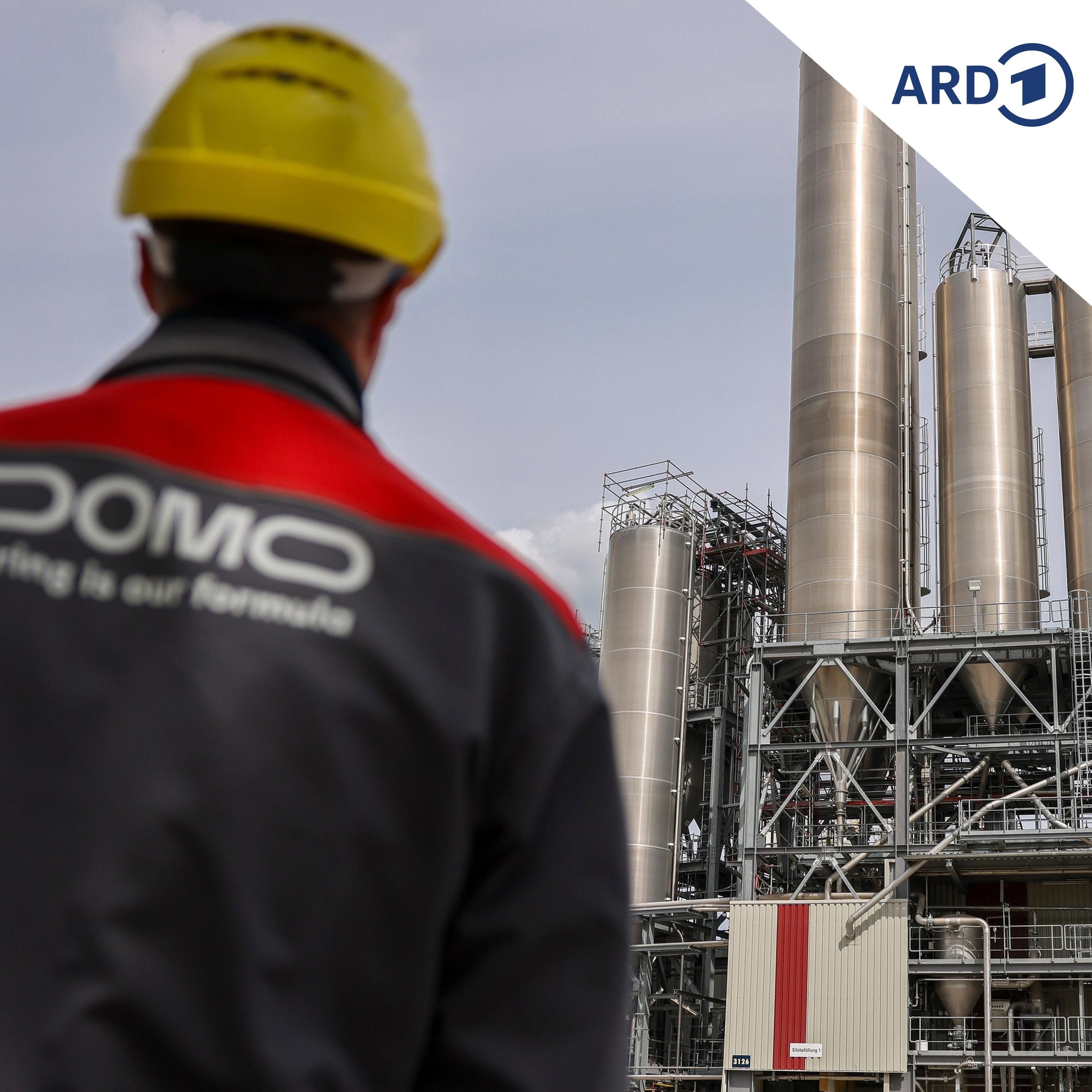 Domo-Werk in Leuna gerettet