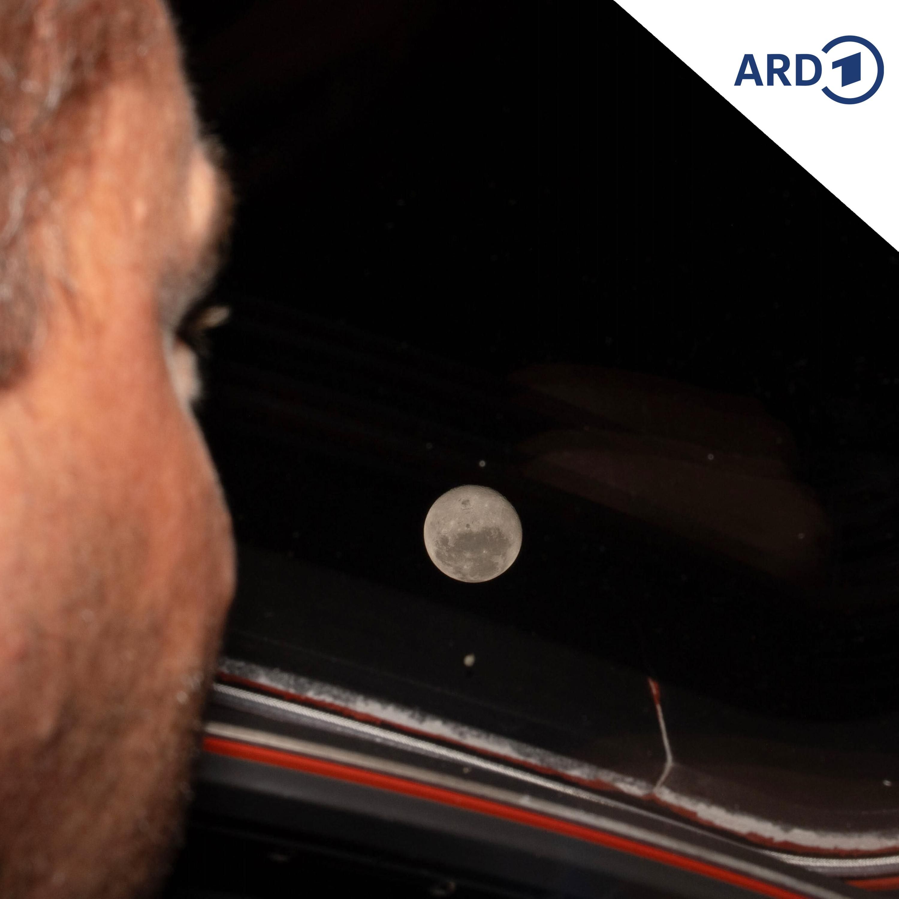 Artemis II: Wann darf ein Europäer zum Mond?