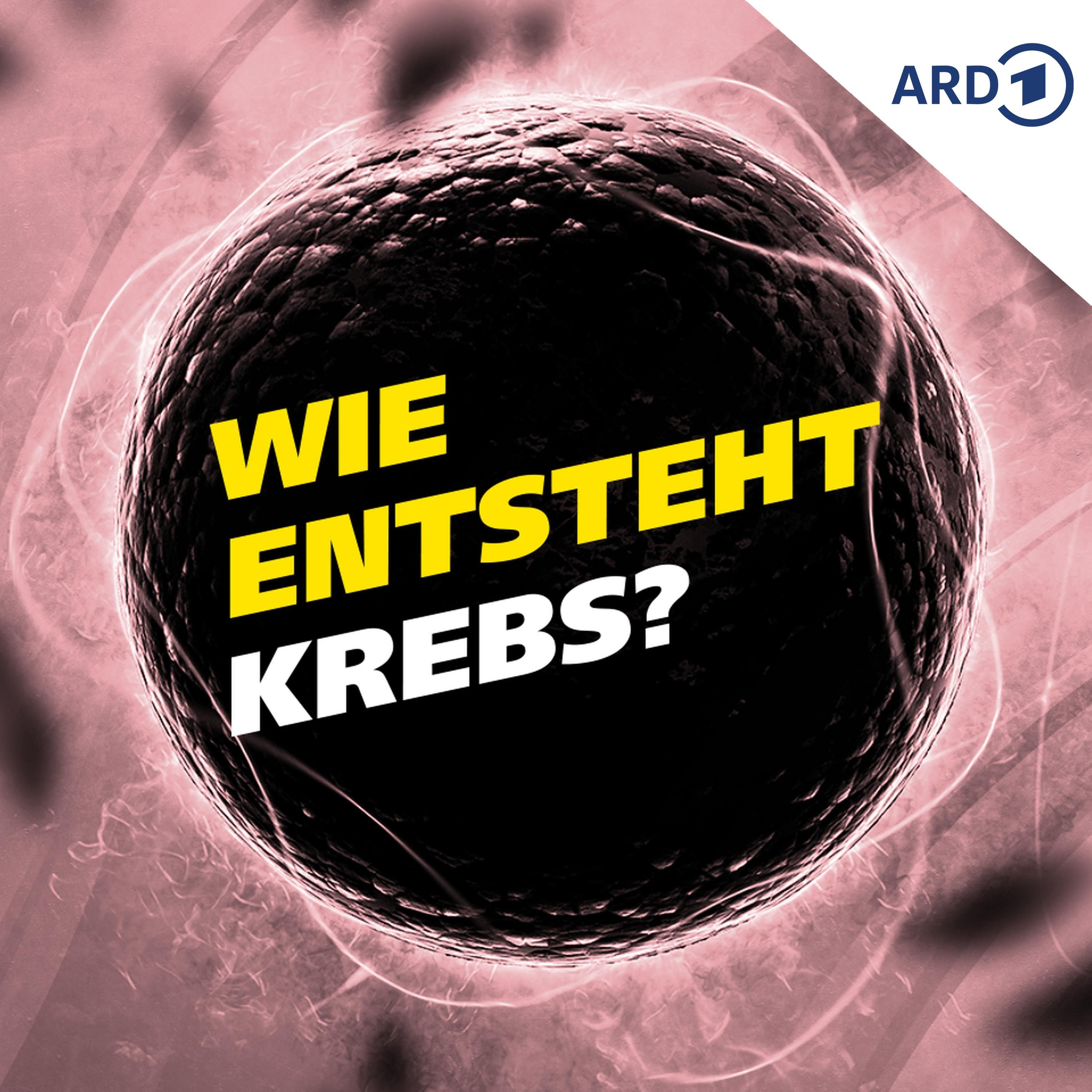 Wie entsteht Krebs?