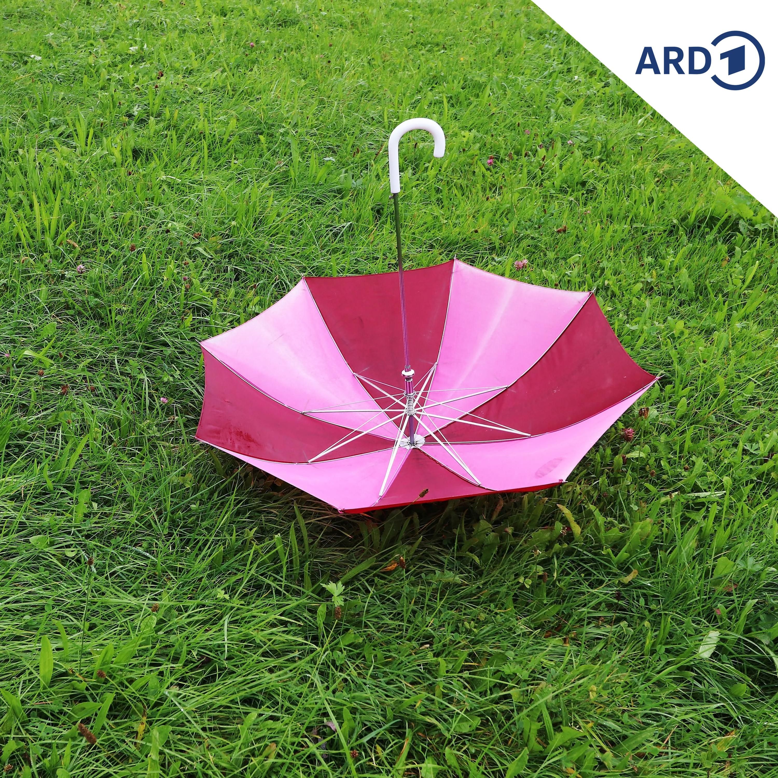 Regenschirm