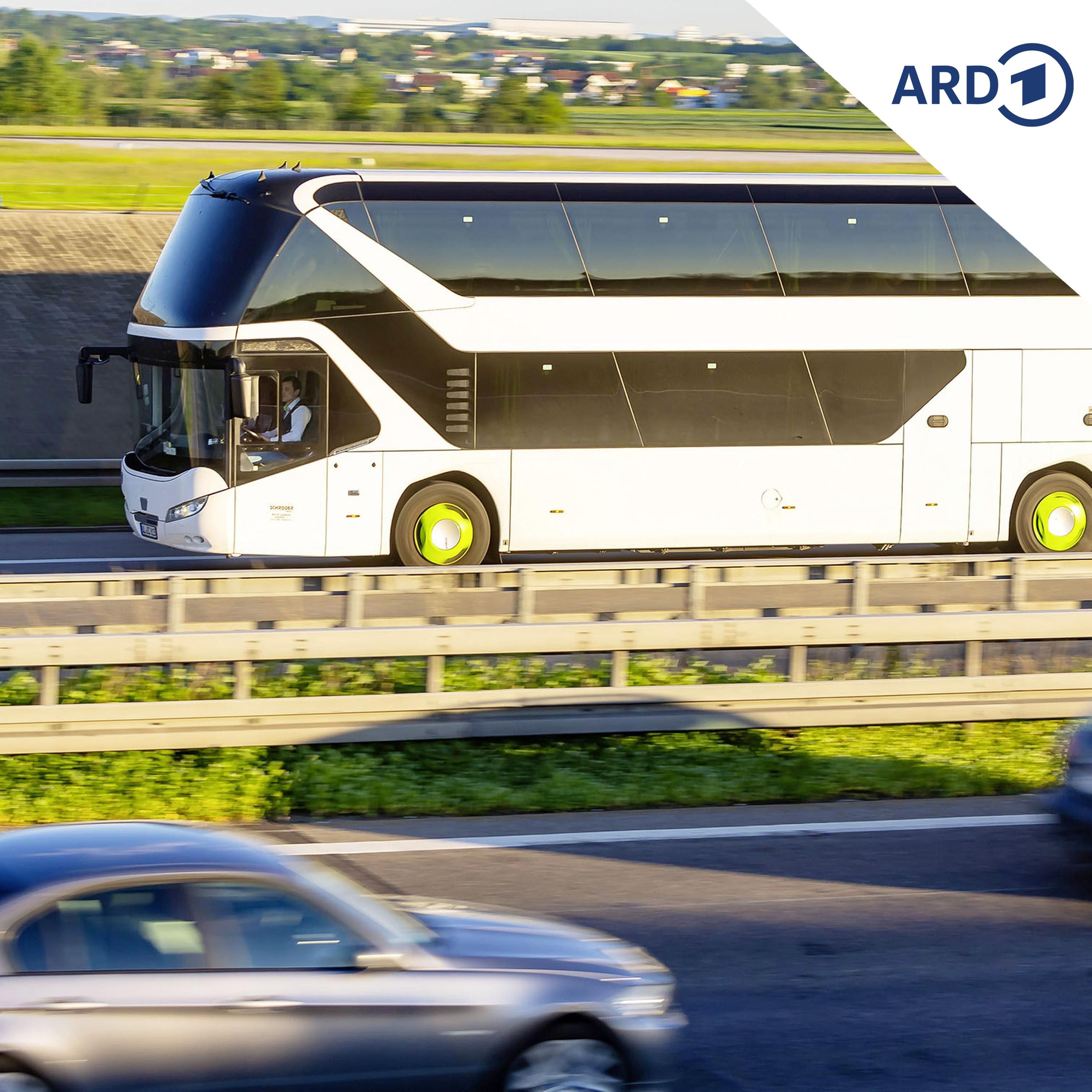 Mit dem Bus durch Dresden und in die große Welt