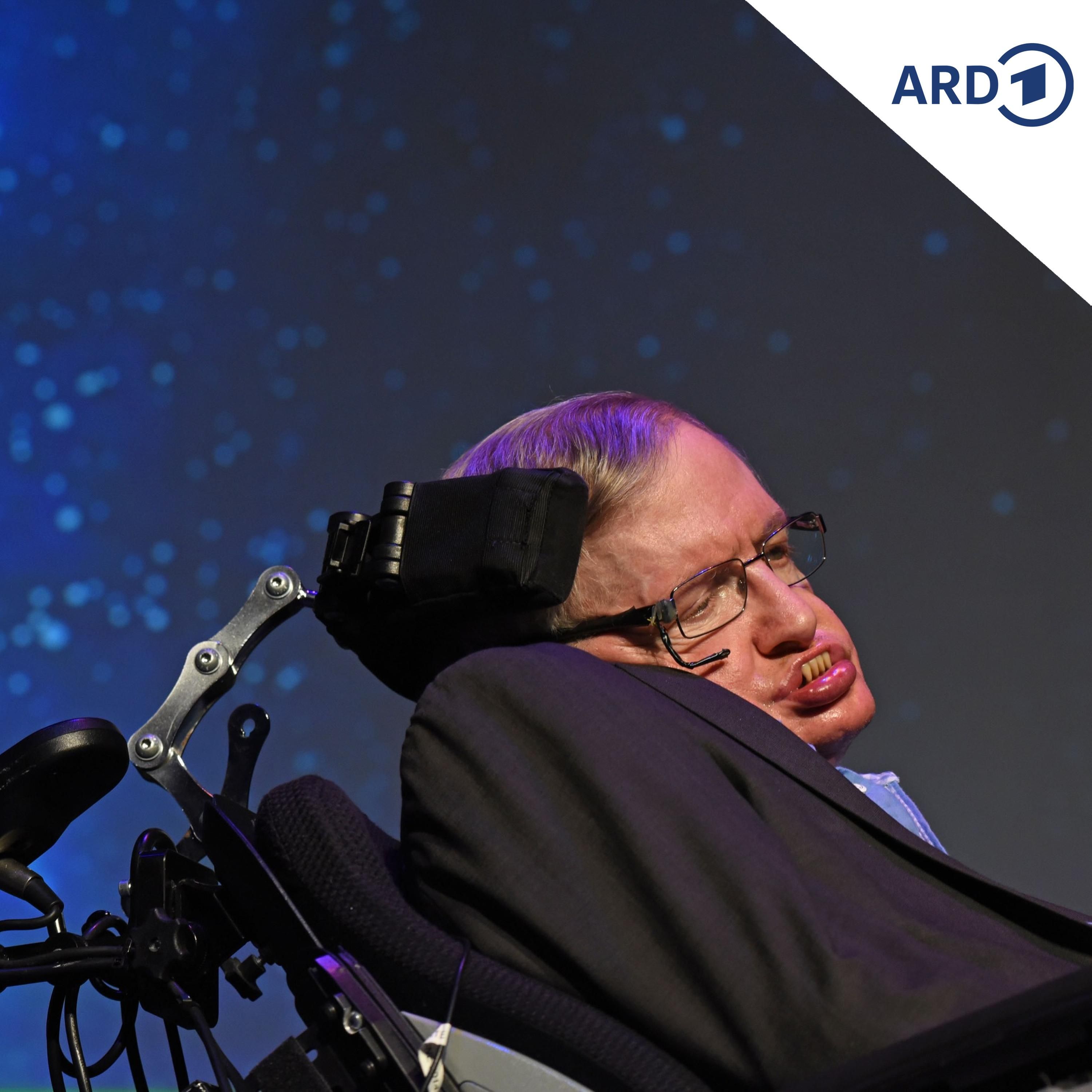 Alles hinter dem Spiegel – Die kosmische Reise des Stephen Hawking
