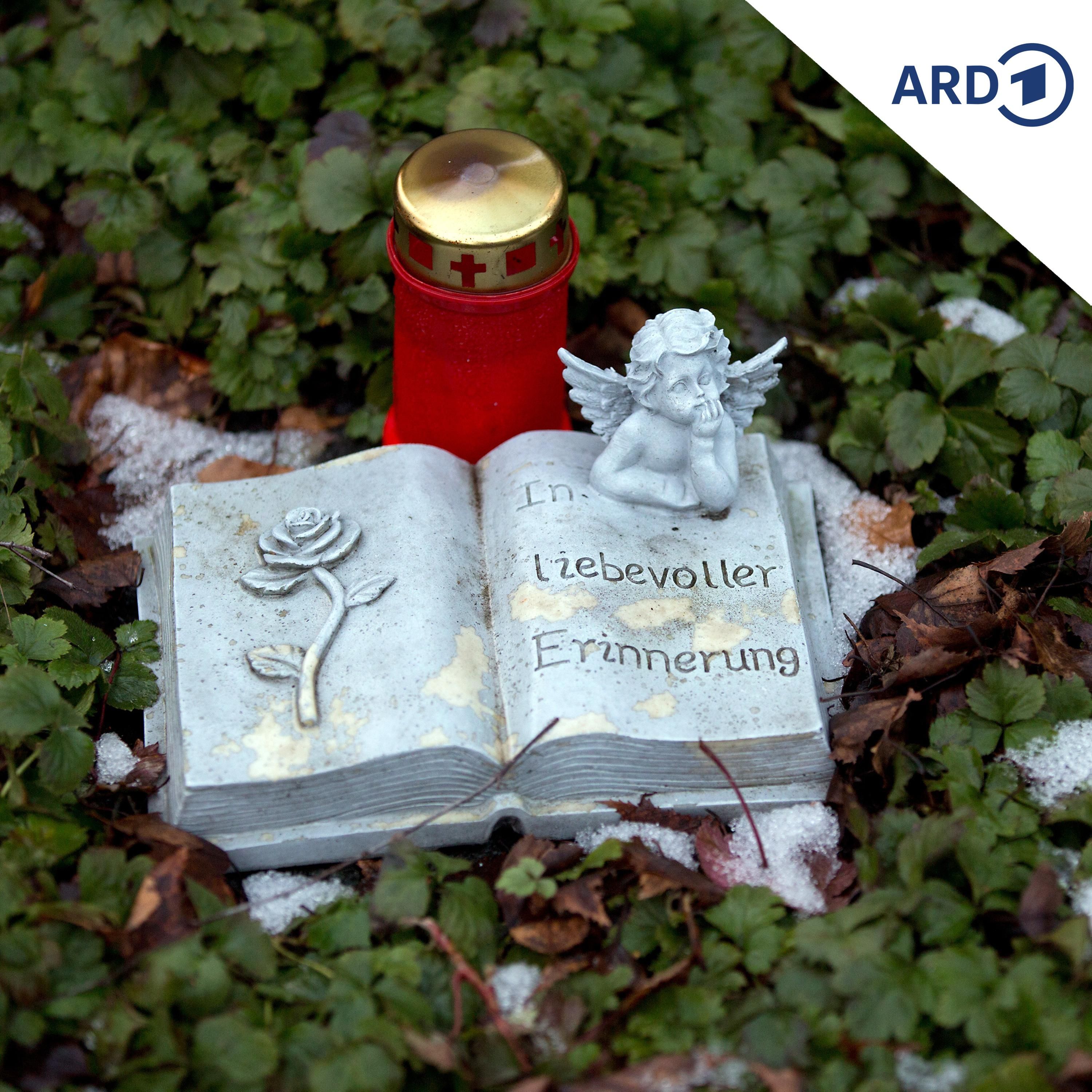 Warum sterben wir?
