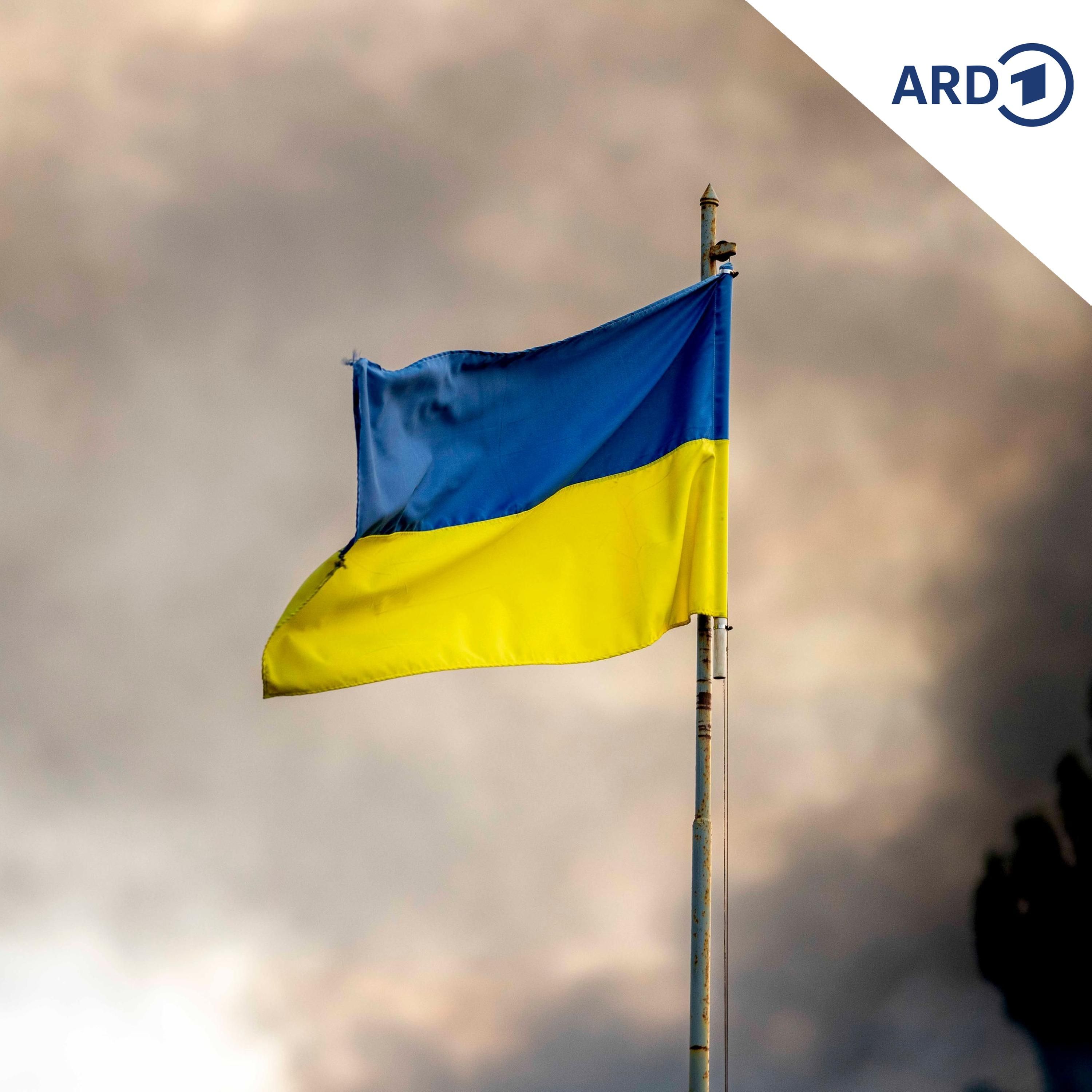 Selenskyj zeigt sich offen für Neuwahlen in der Ukraine