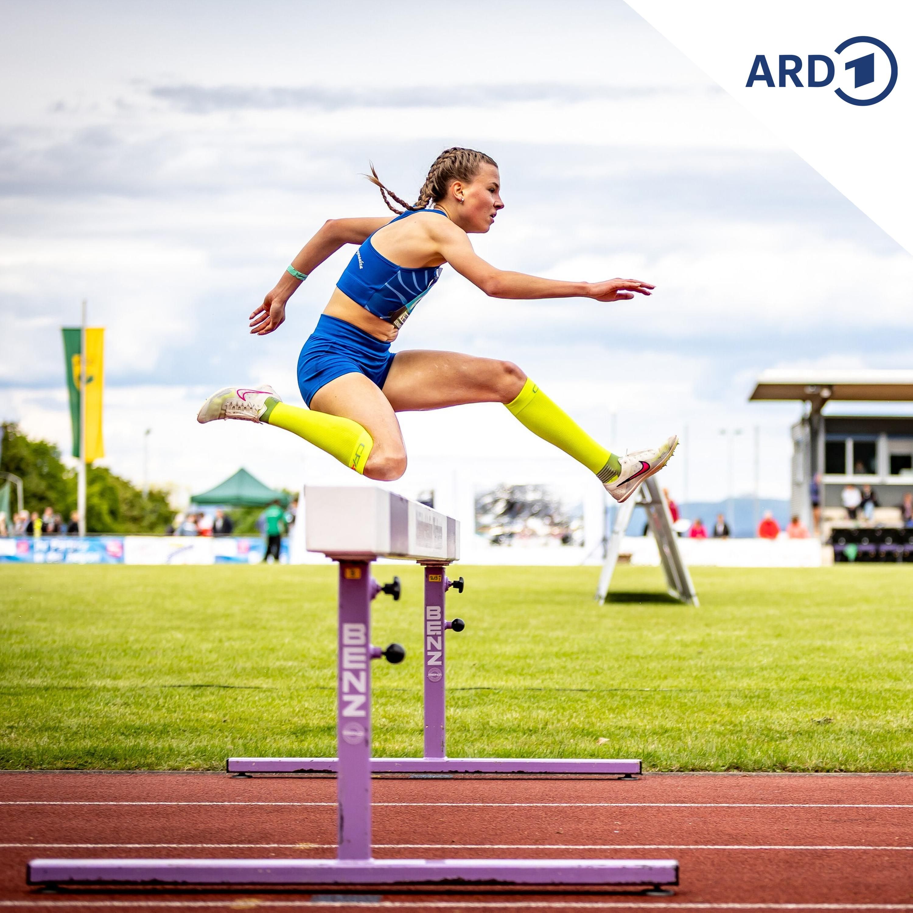 Was taugt das neue Sportfördergesetz?