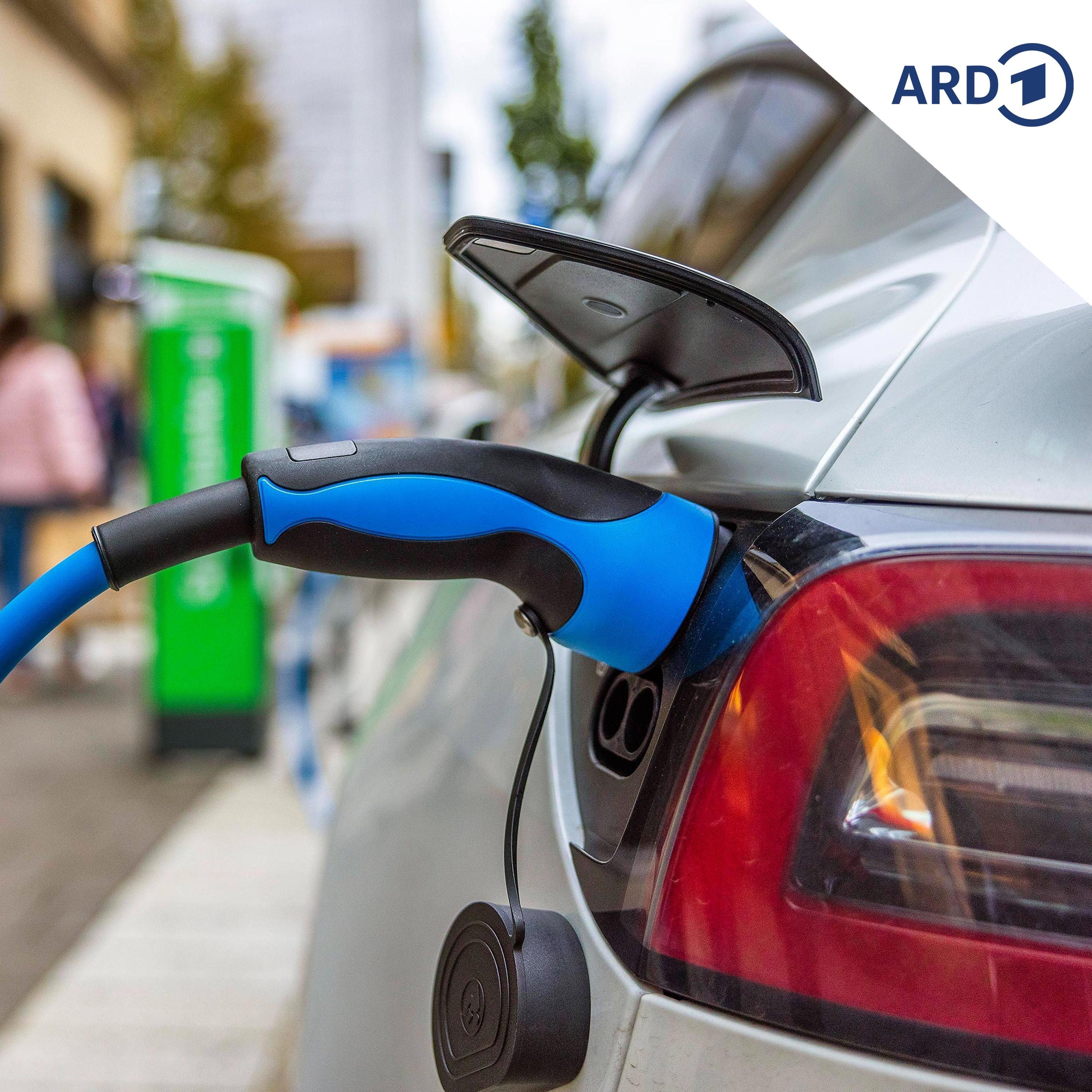 Ladenhüter E-Auto: Das schleppende Geschäft mit den Elektroautos in Polen und Tschechien