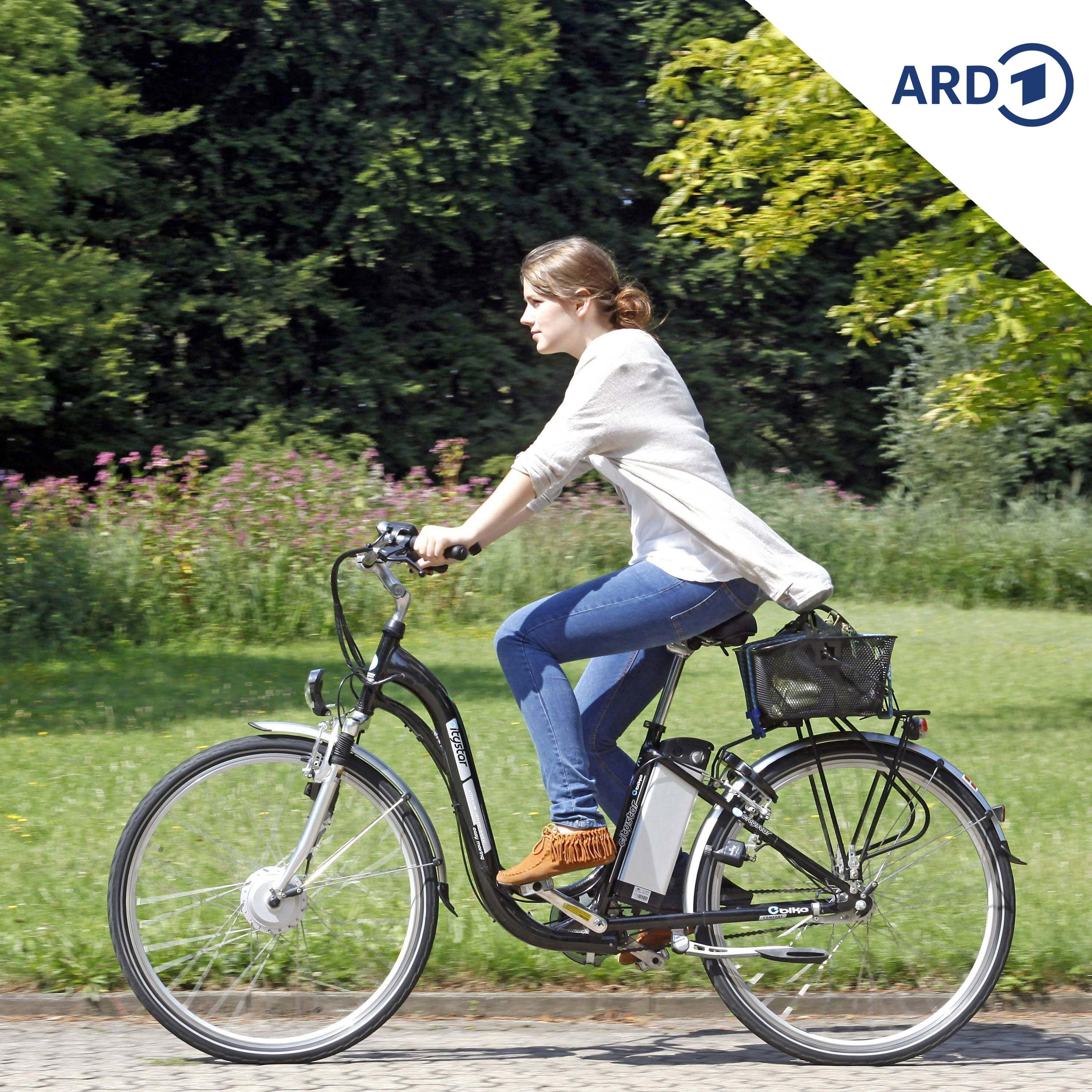 SPUTNIK Mailbox: Elektrofahrrad