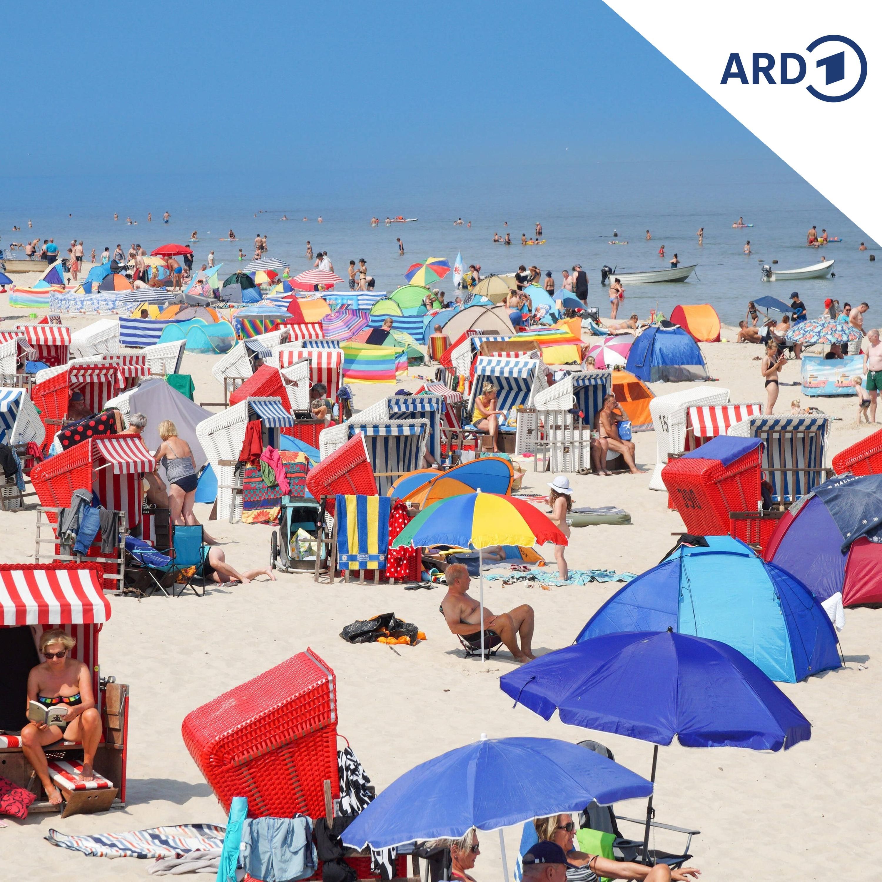 Wo und wie verbringen unsere Nachbarn ihren Sommerurlaub?