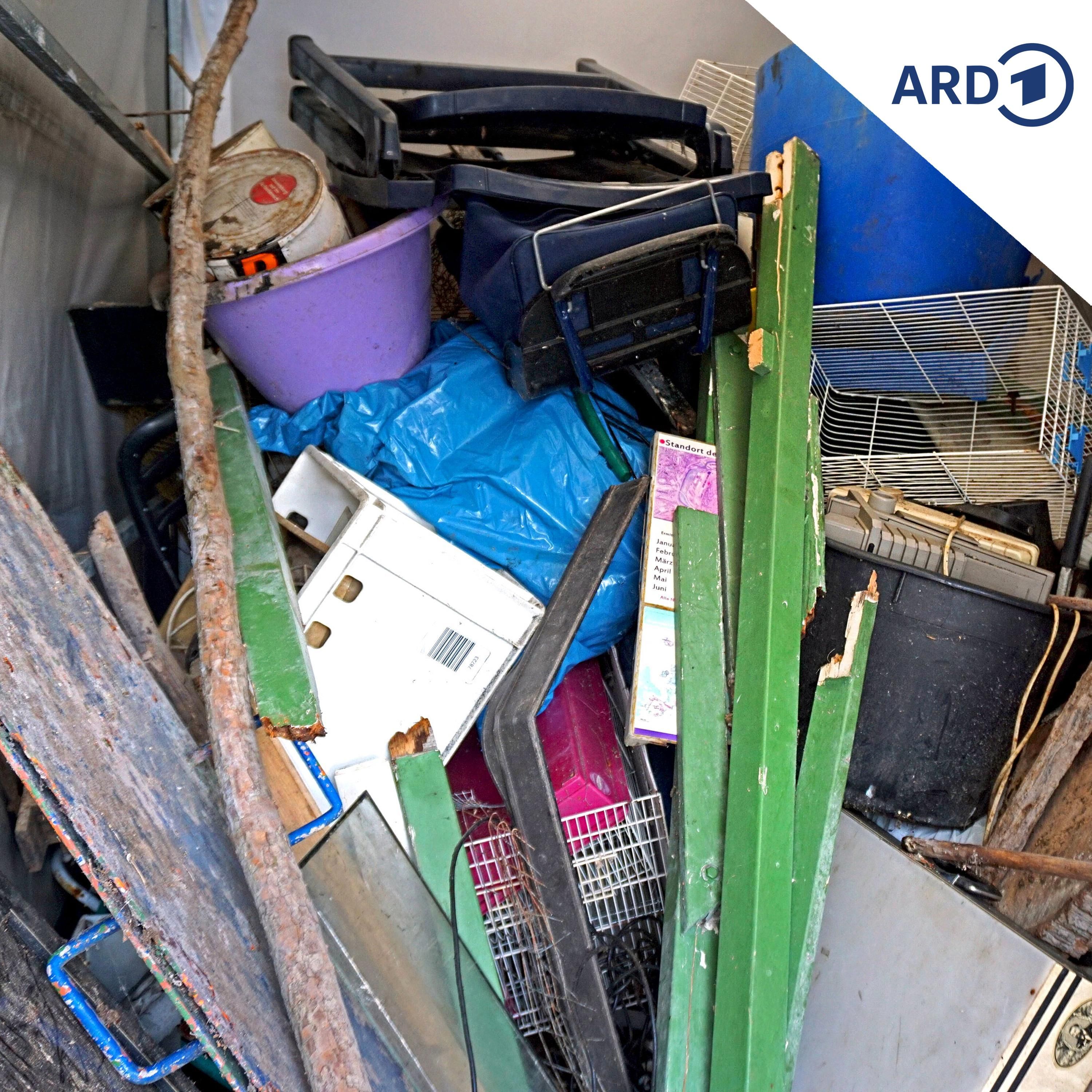 Gibt es Finderlohn bei einer Wohnungsauflösung?