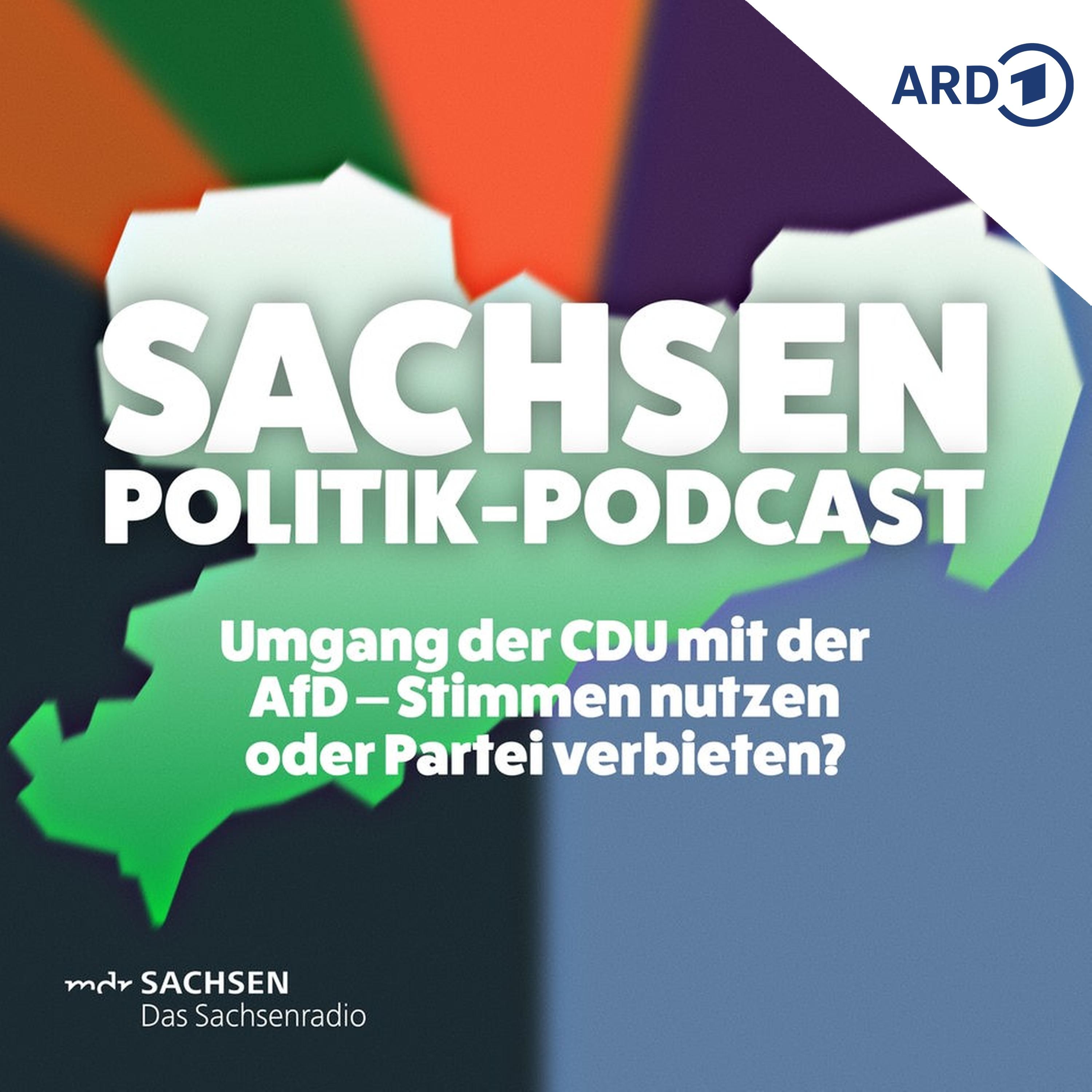 Umgang der CDU mit der AfD – Stimmen nutzen oder Partei verbieten?
