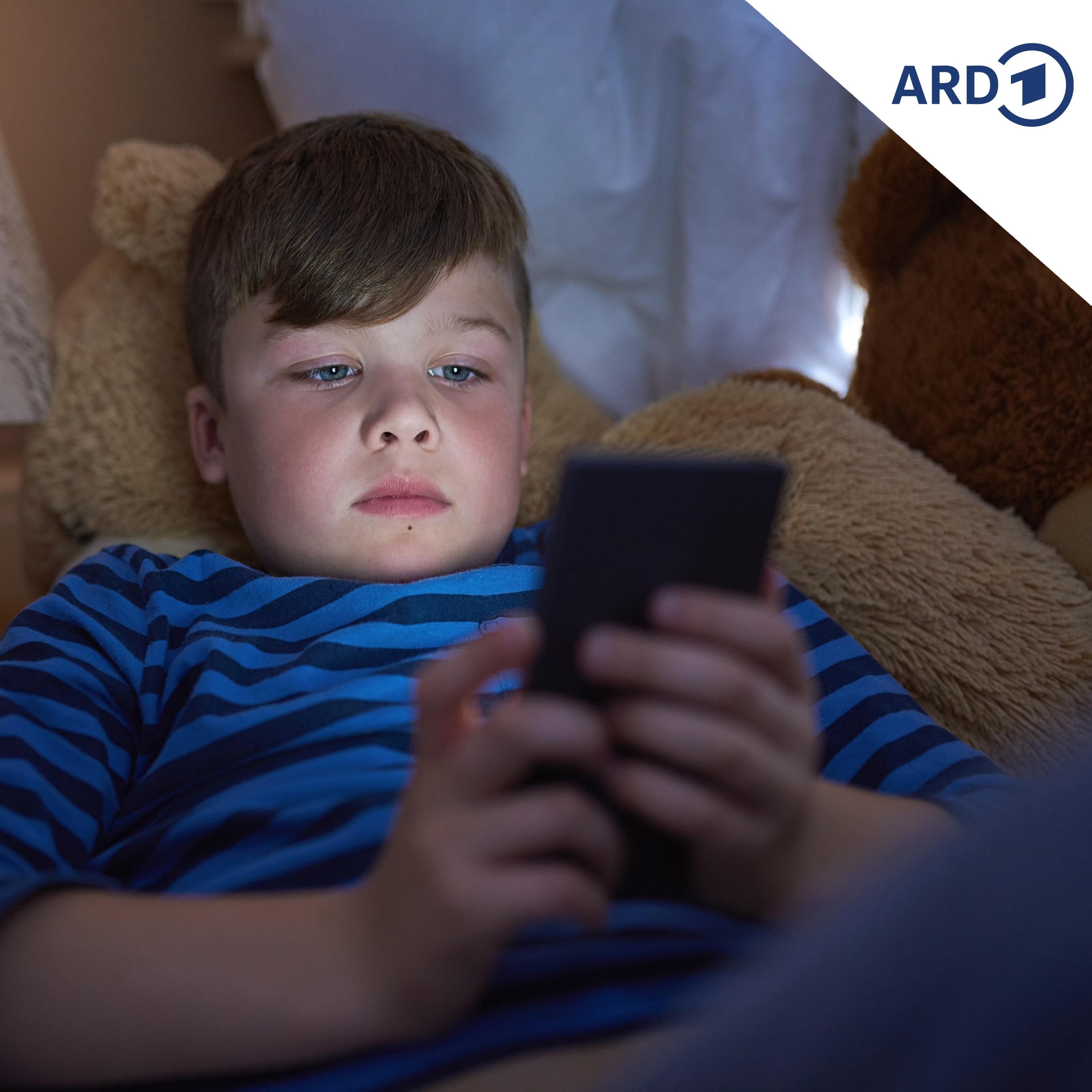 Socialmedia-Verbot für Kinder sorgt bei unseren Nachbarn für Diskussionen