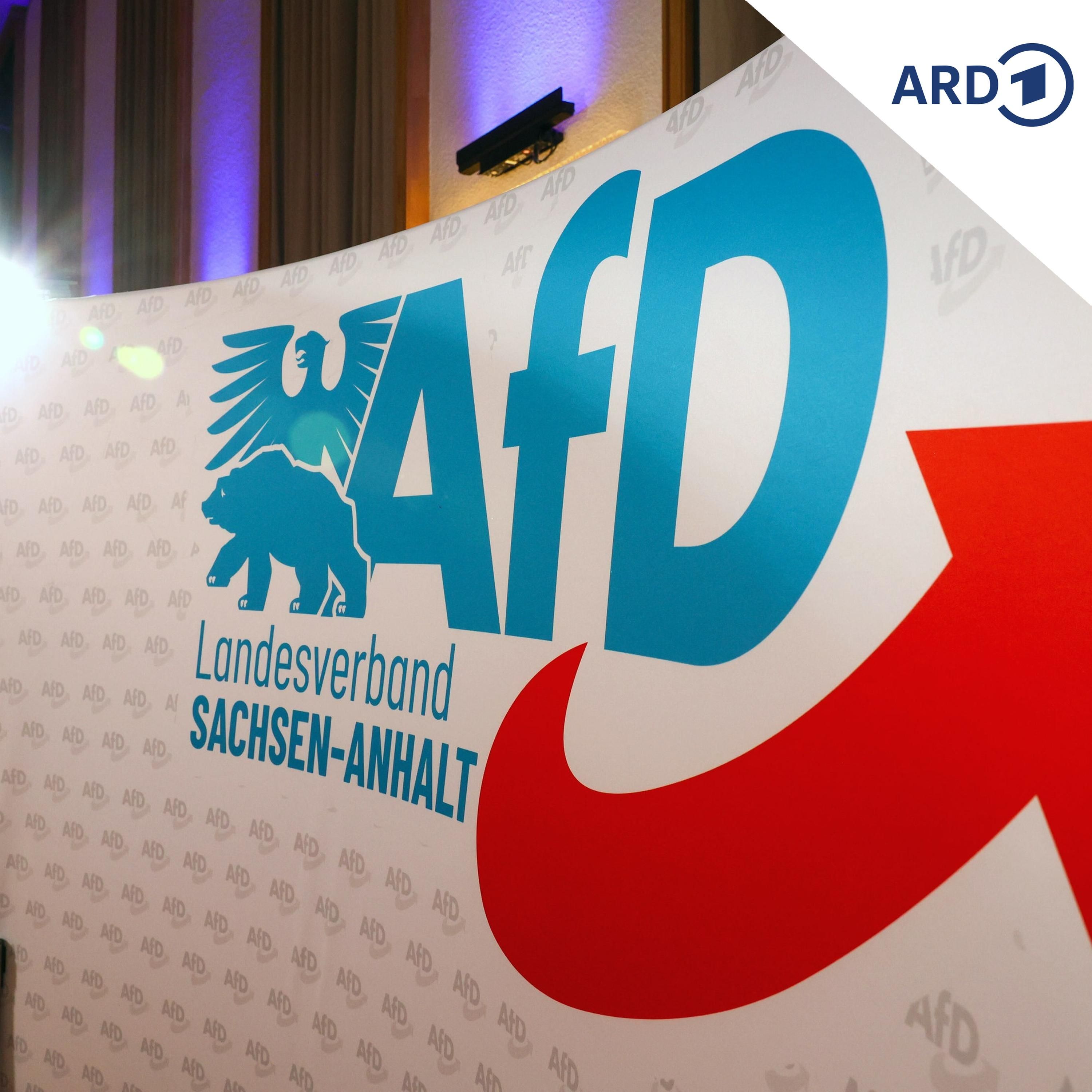 Was steckt hinter dem AfD-Höhenflug in Sachsen-Anhalt?