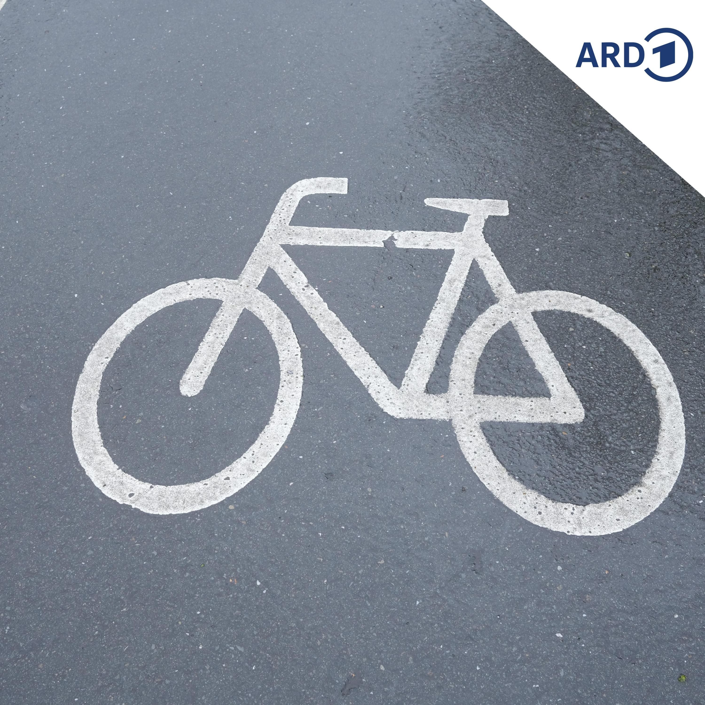 Zu Gast in "Figarinos Fahrradladen"