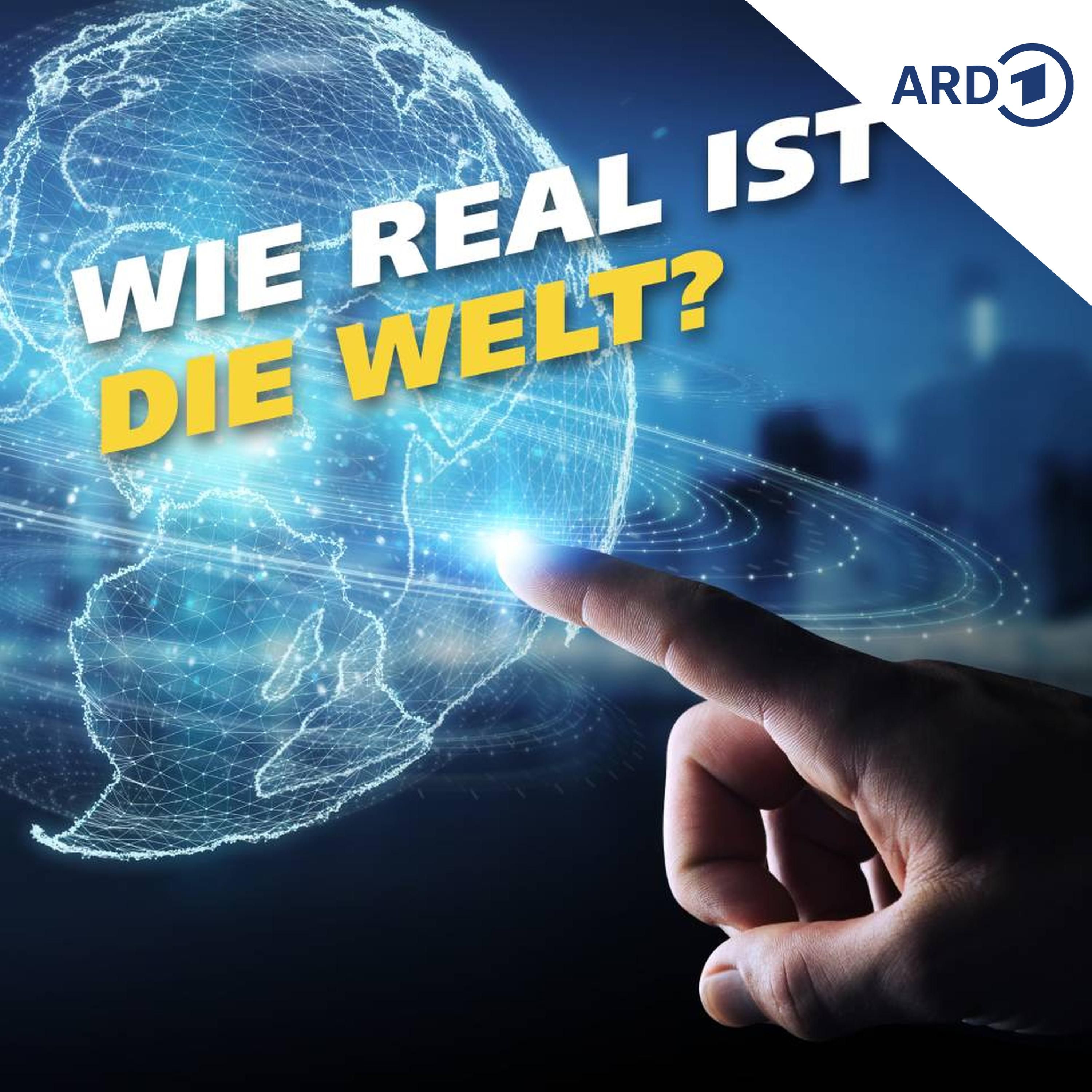 Wie real ist die Welt?