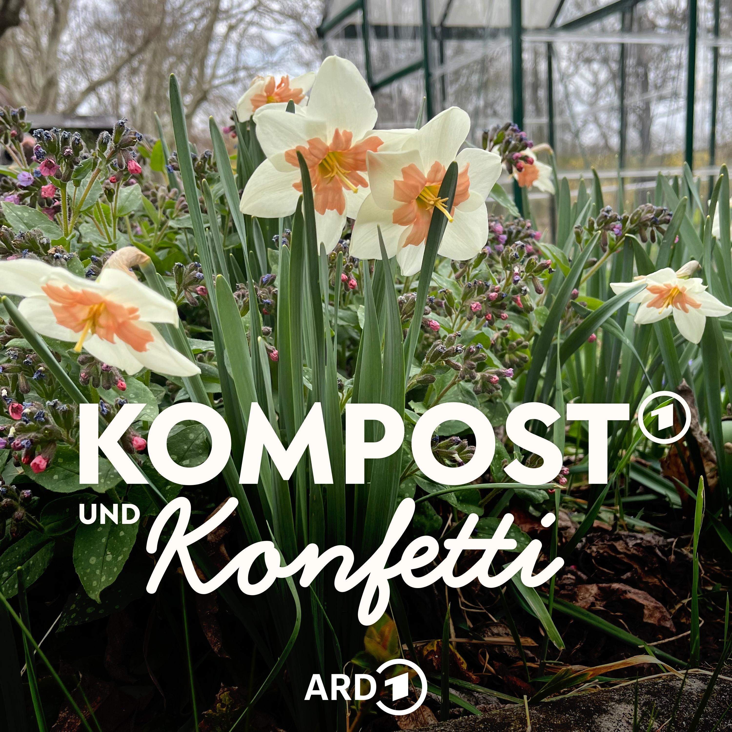 Ostern im Garten: Die Natur dekoriert sich selbst