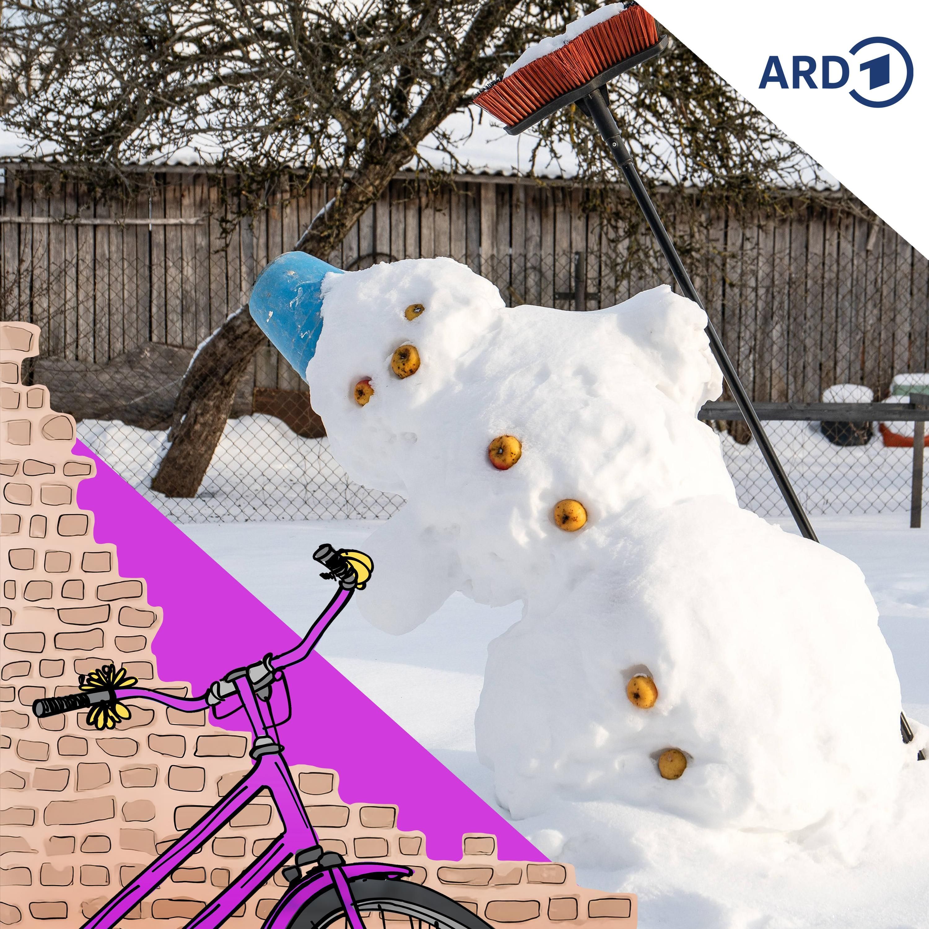 Die Schneemannschönheit