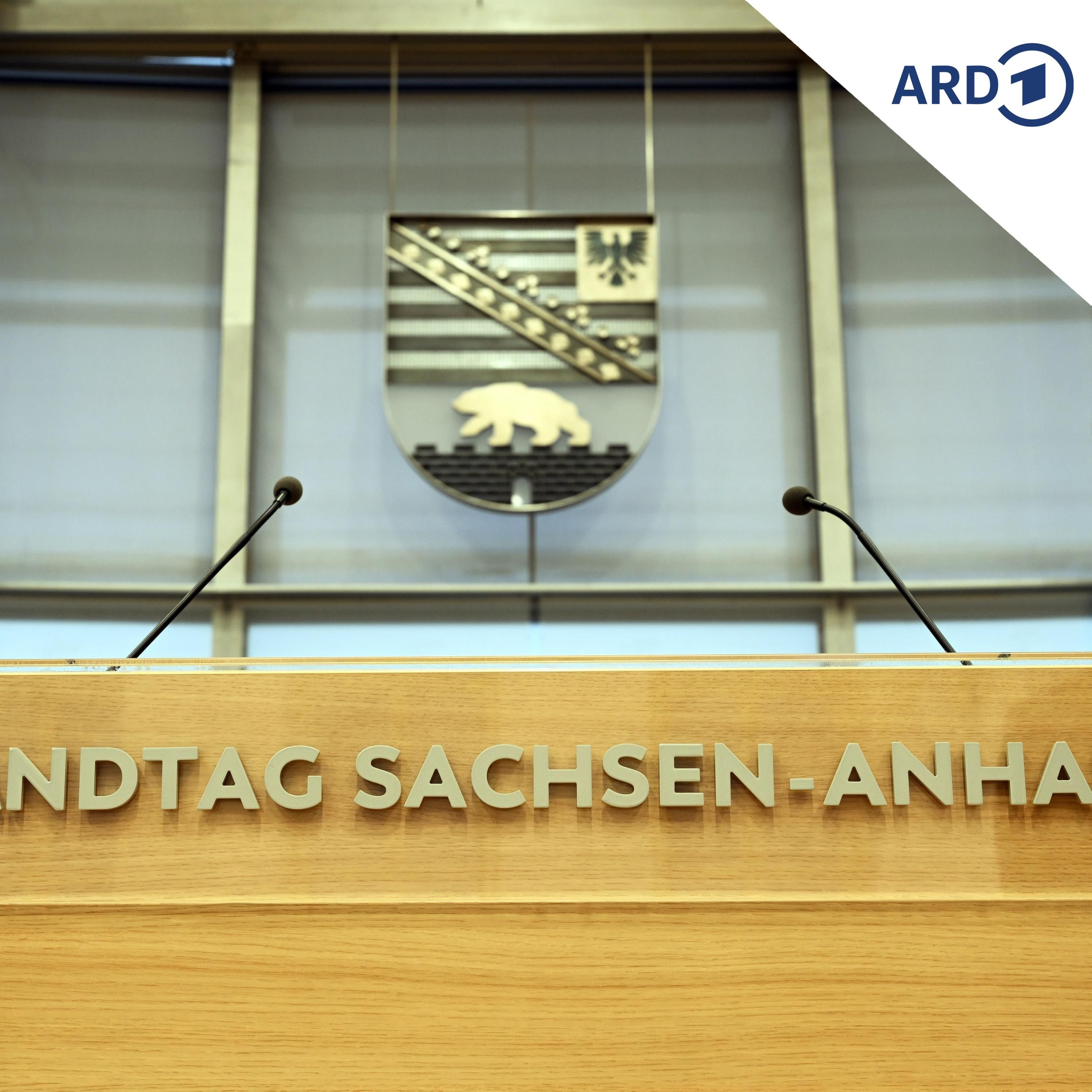 Was passiert bei der Parlamentsreform in Sachsen-Anhalt?