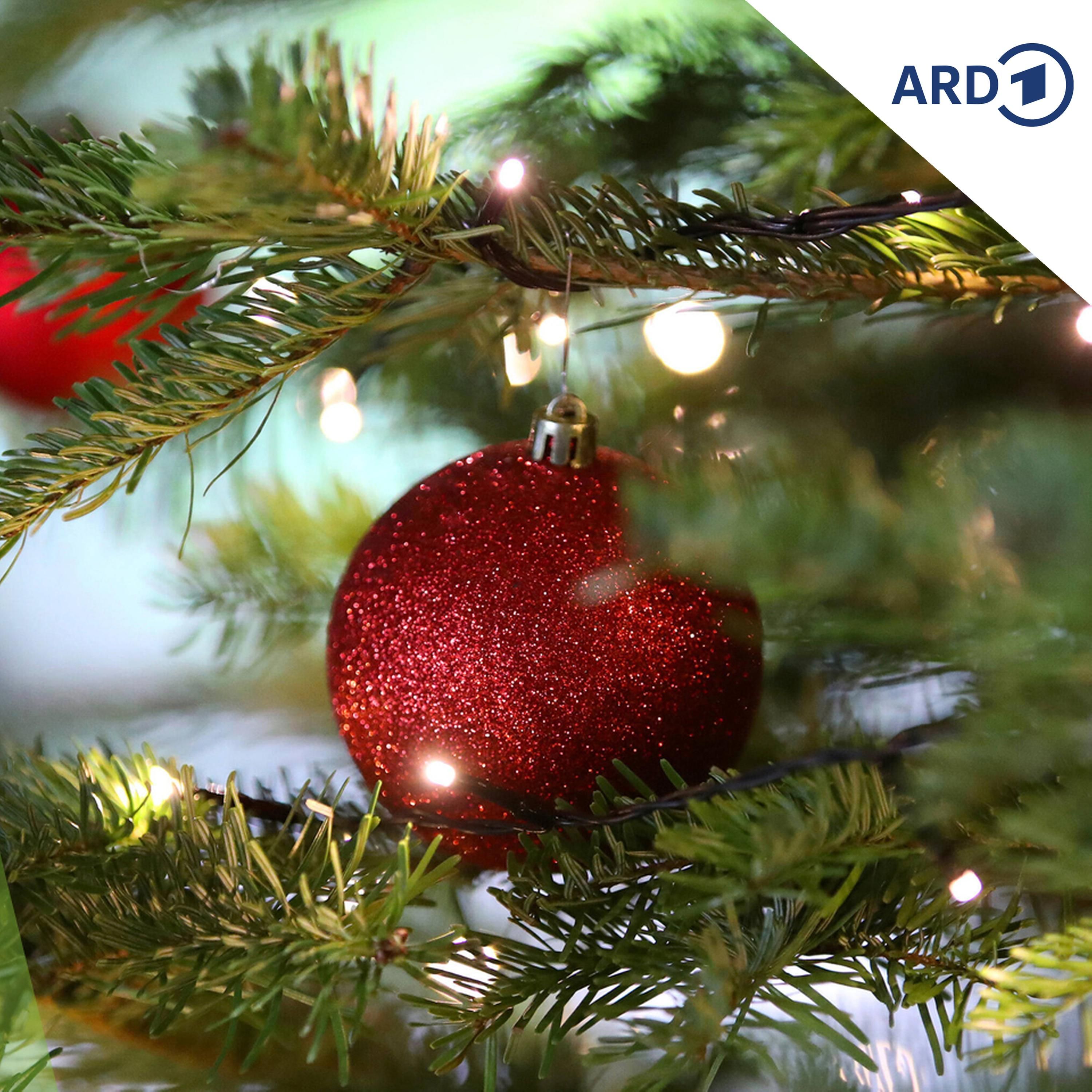 Sind die Lichter angezündet - die Weihnachtslieder in der DDR