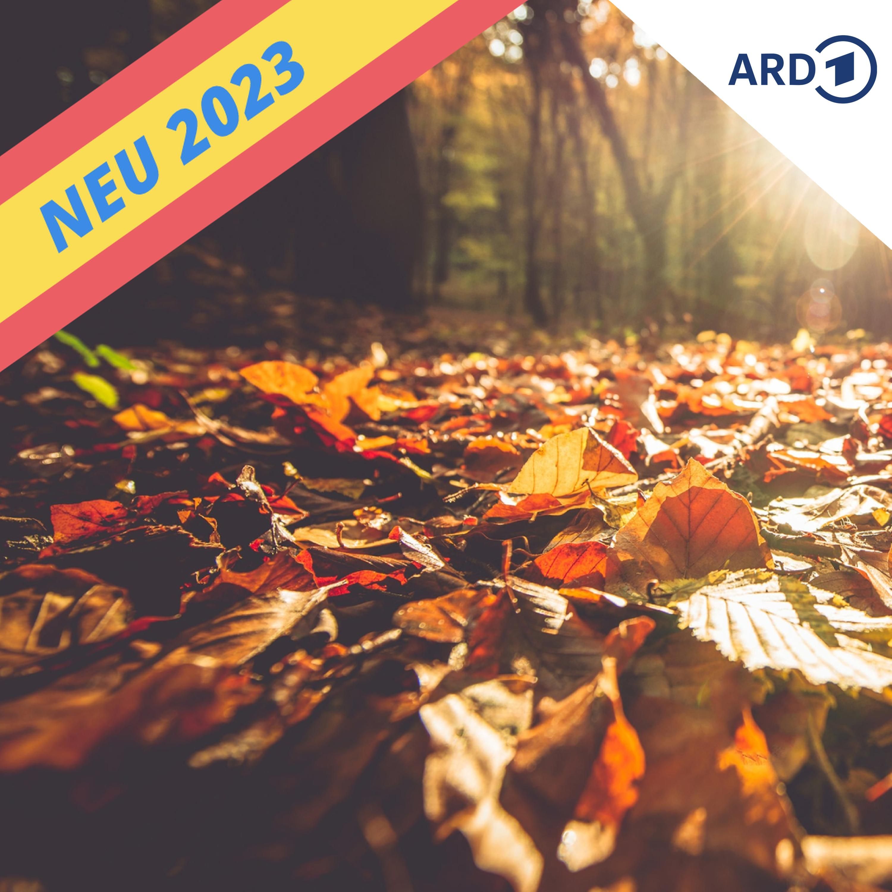Herrlicher Herbst