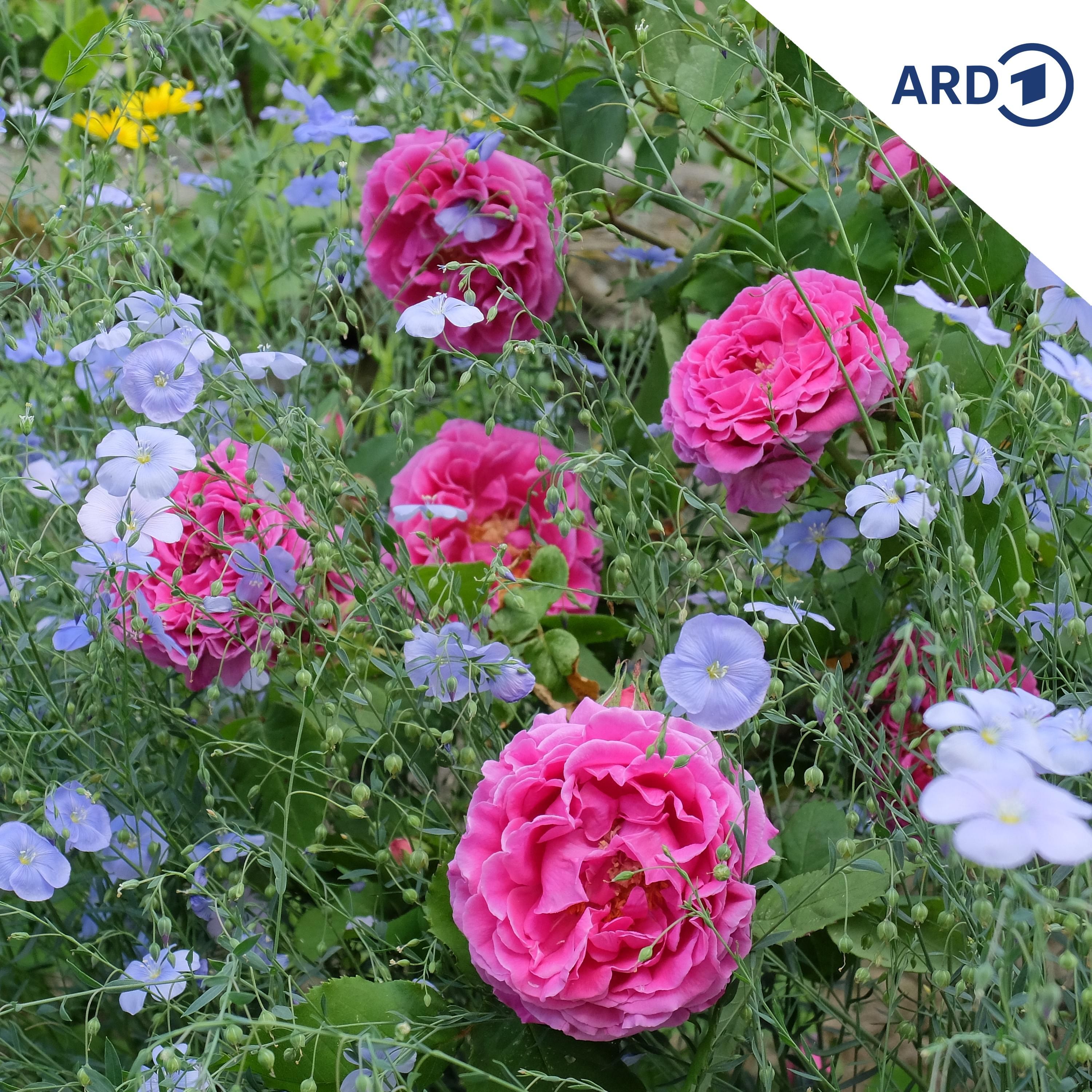SPUTNIK Mailbox: Blumen