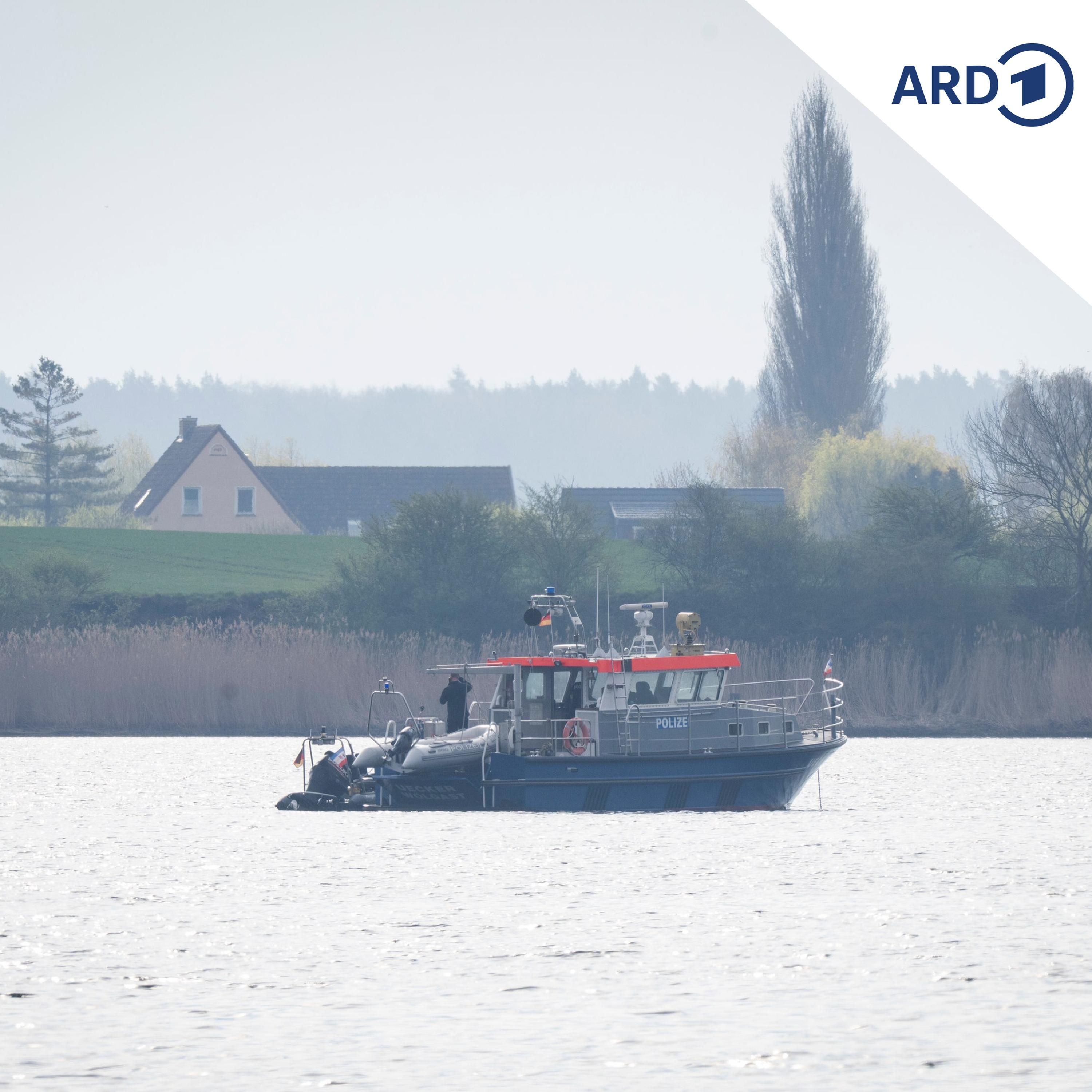 Welche Chancen hat der gestrandete Buckelwal?