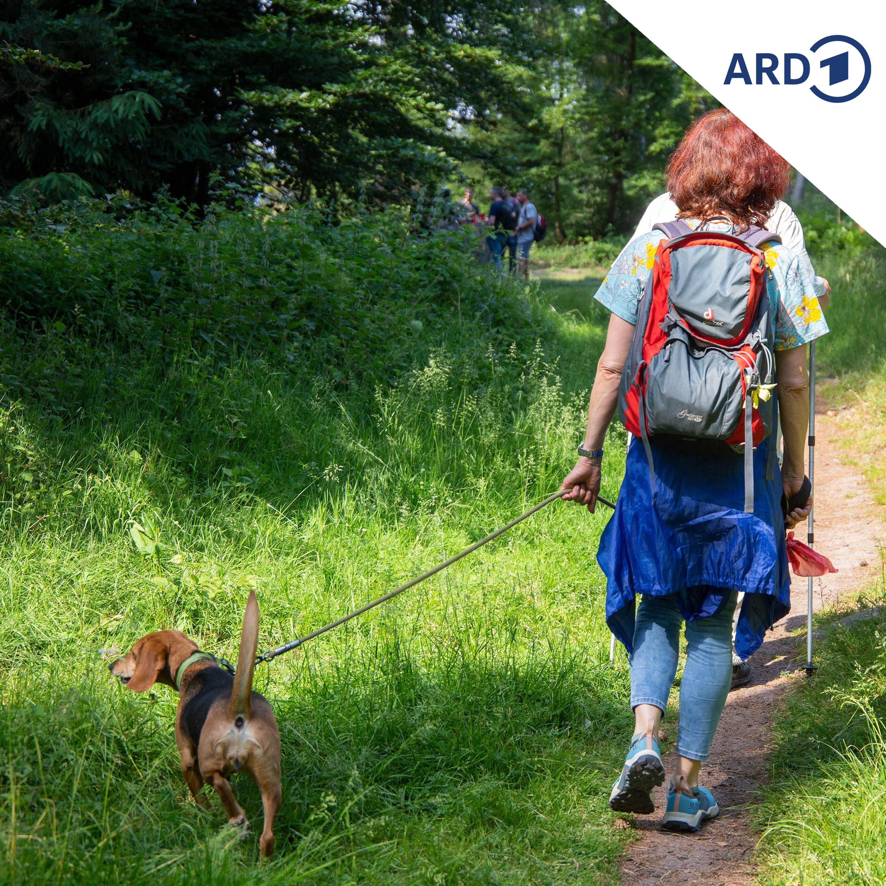 SPUTNIK Mailbox: Wandern