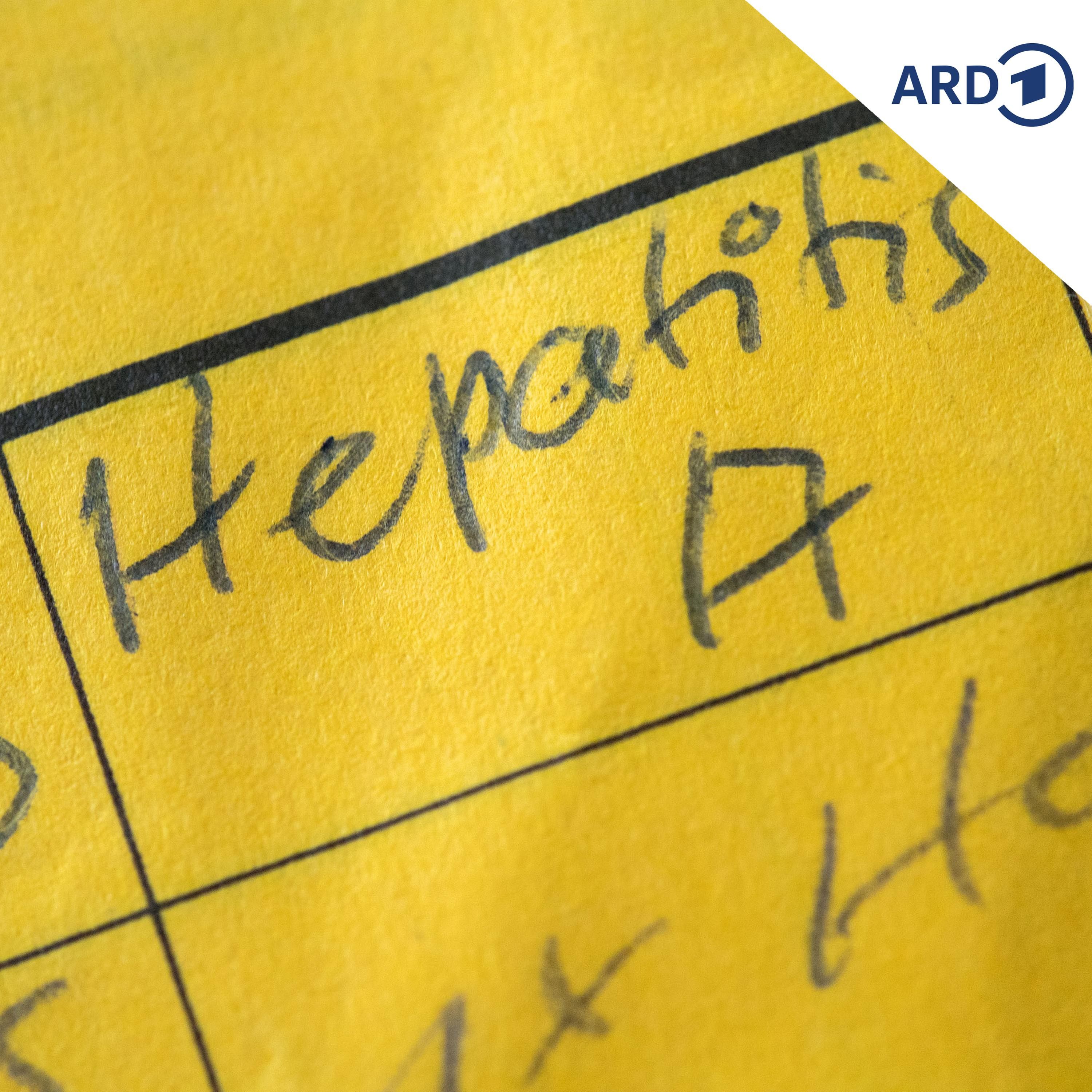 Todesfälle: Hepatitis-A-Erkrankungen in Prag angestiegen
