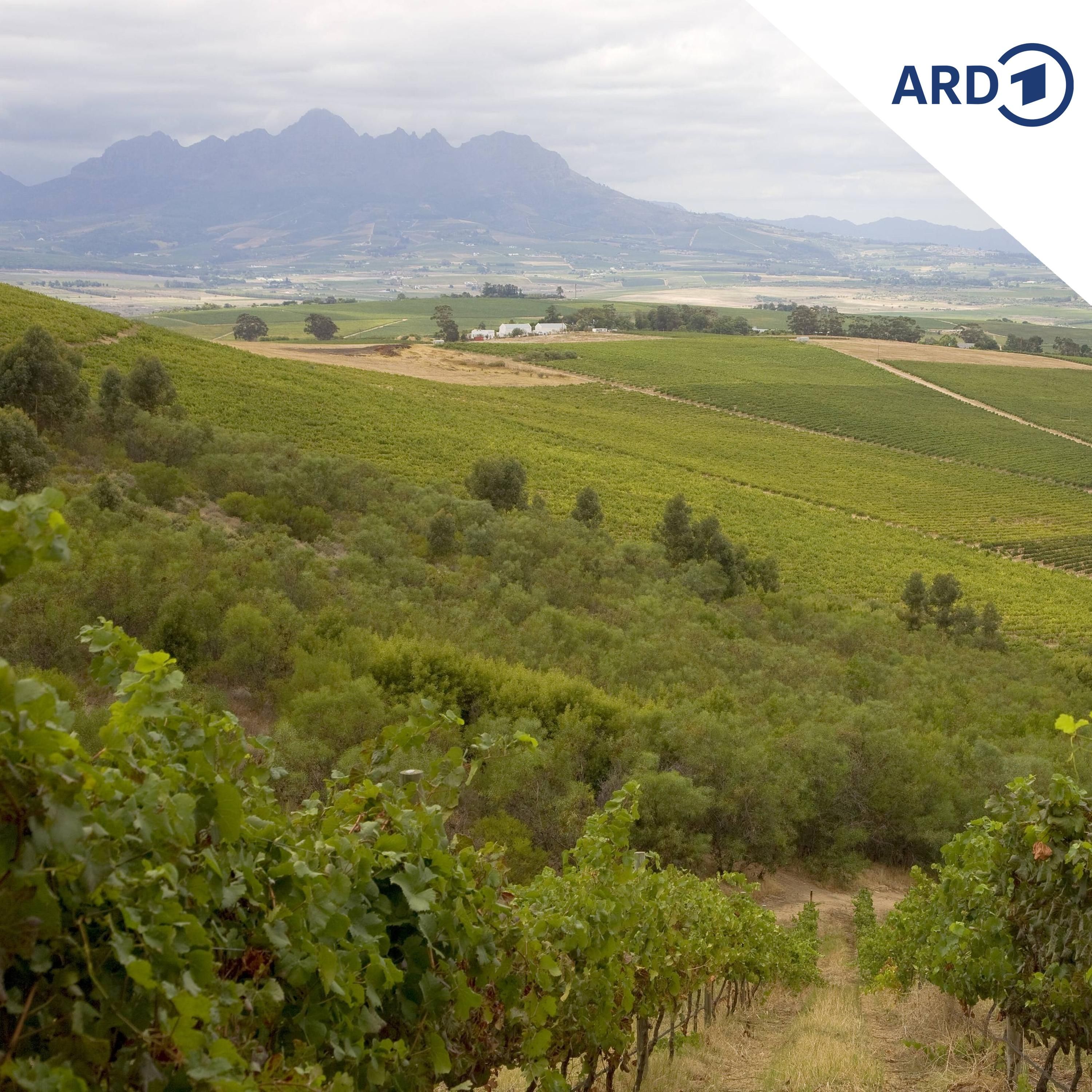 Der Wasser-Sommelier von Stellenbosch