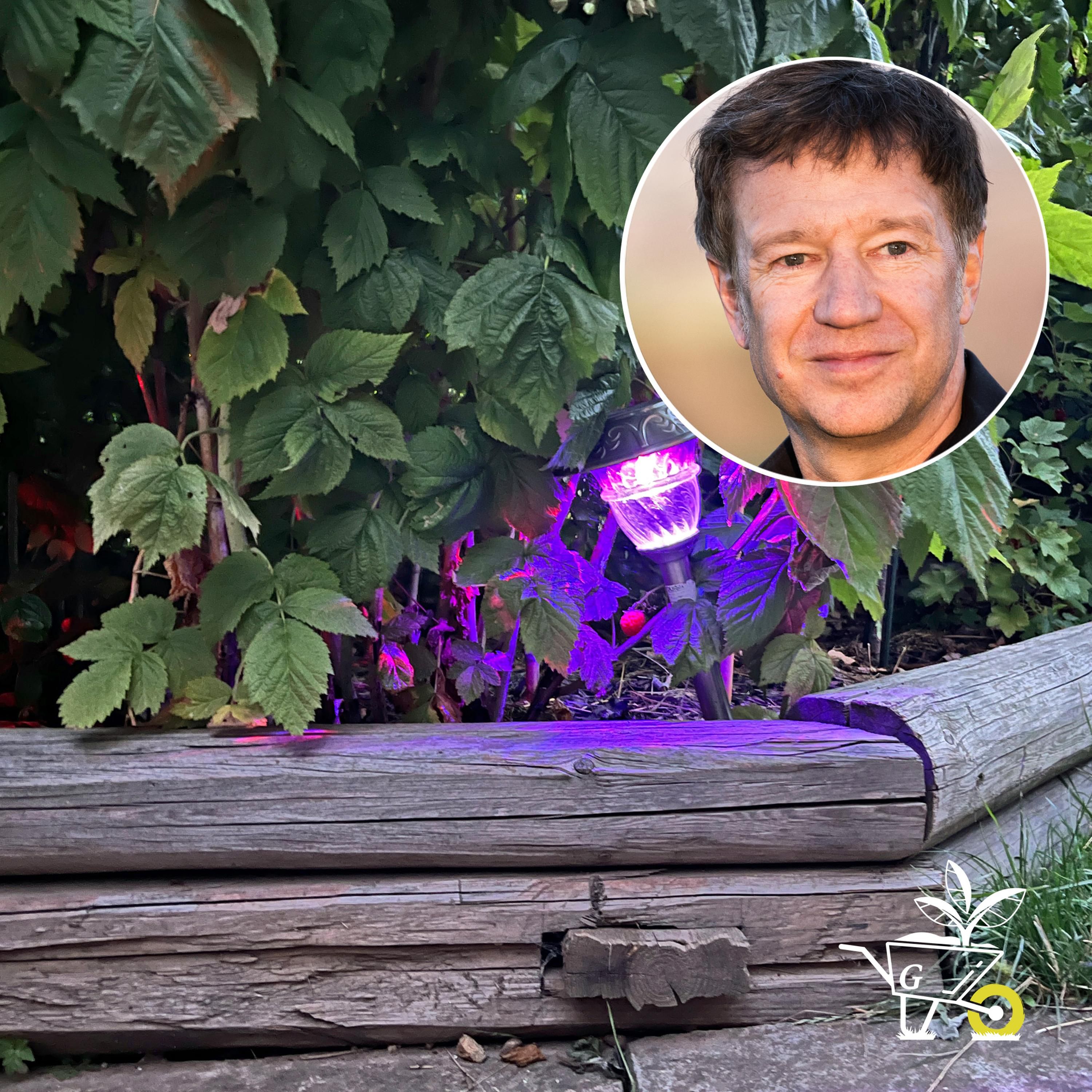 #40: Licht im Garten schadet Insekten
