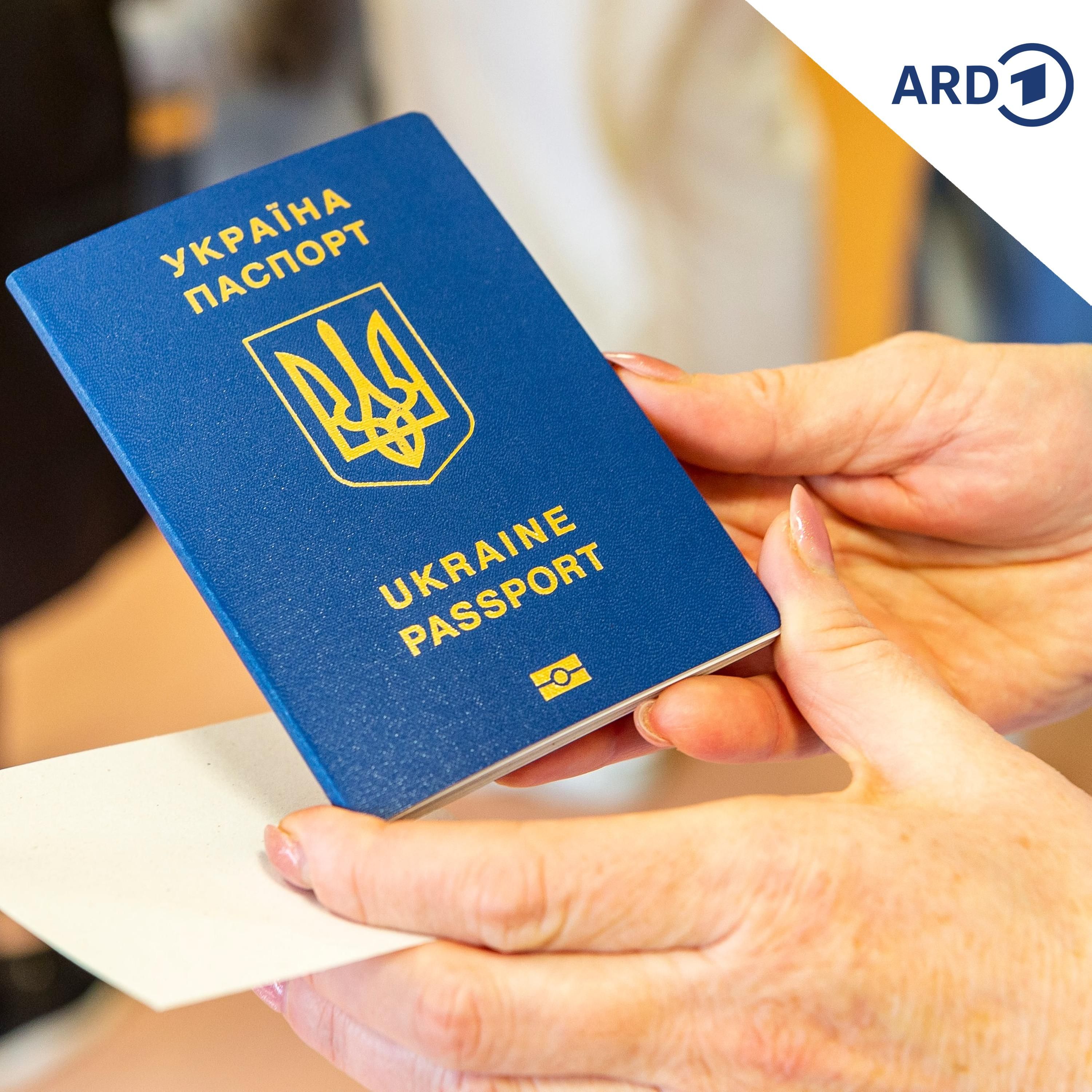 Warum gerade wieder mehr Ukrainer nach Deutschland flüchten
