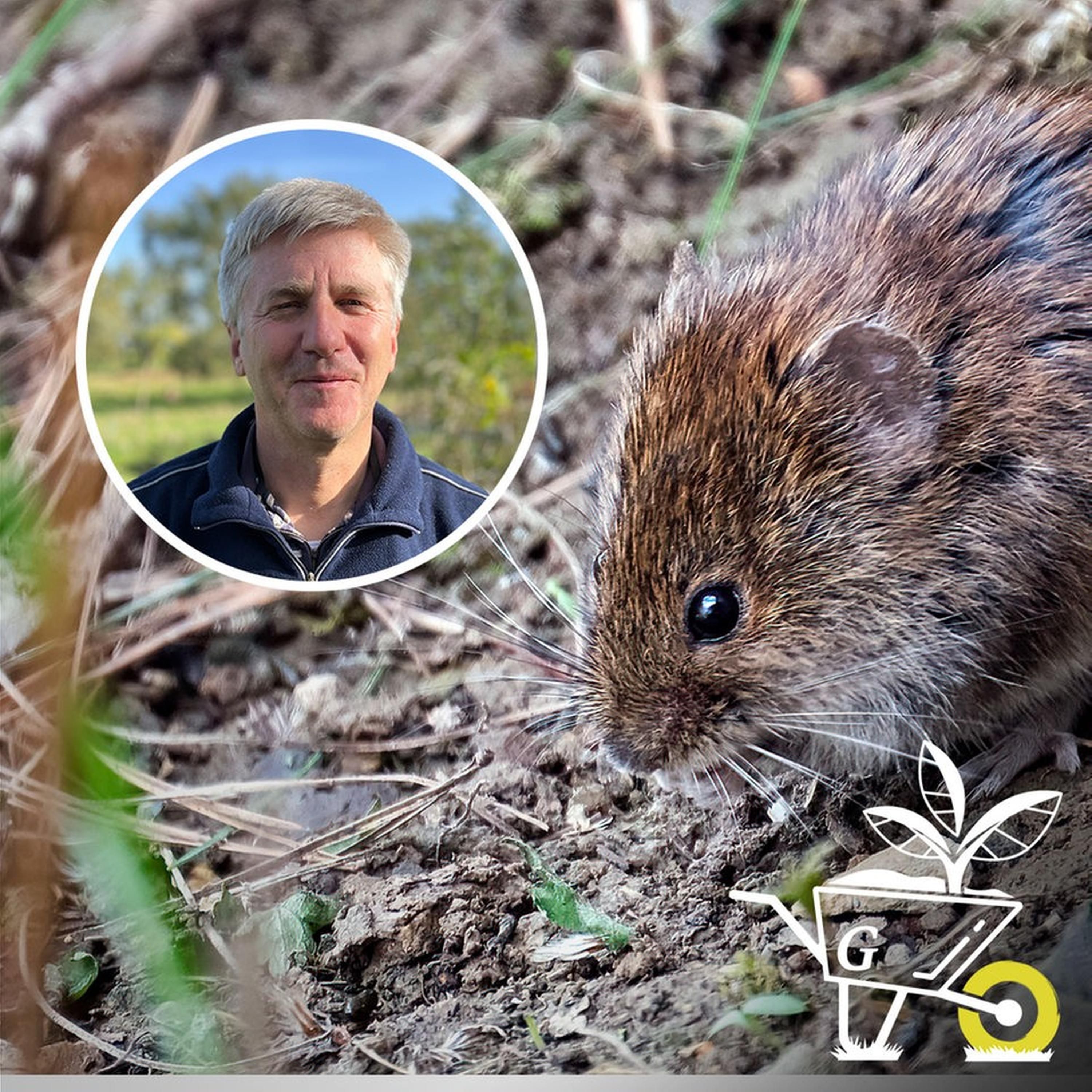 #72: Wühlmäuse im Garten