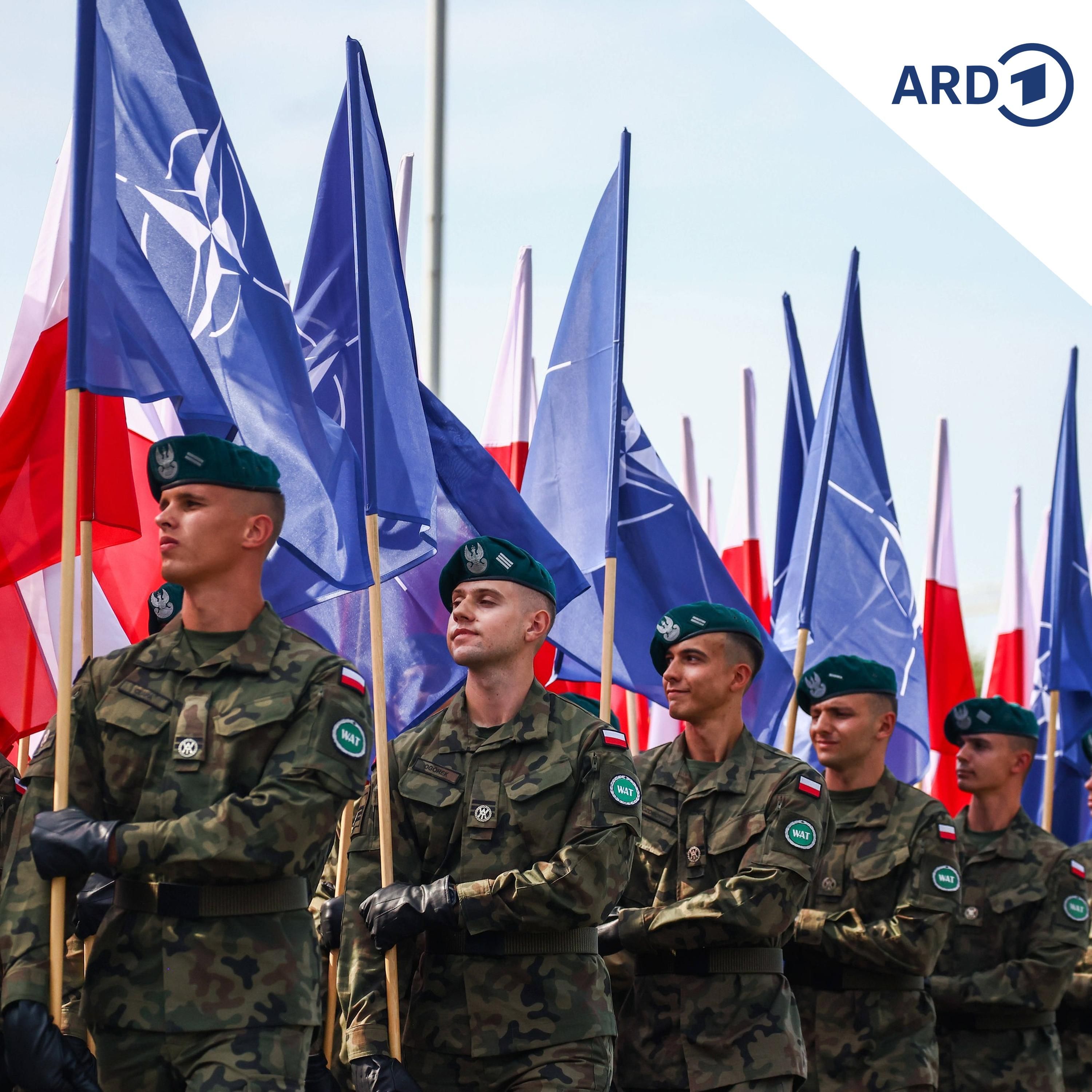 Polen plant militärische Ausbildung für alle
