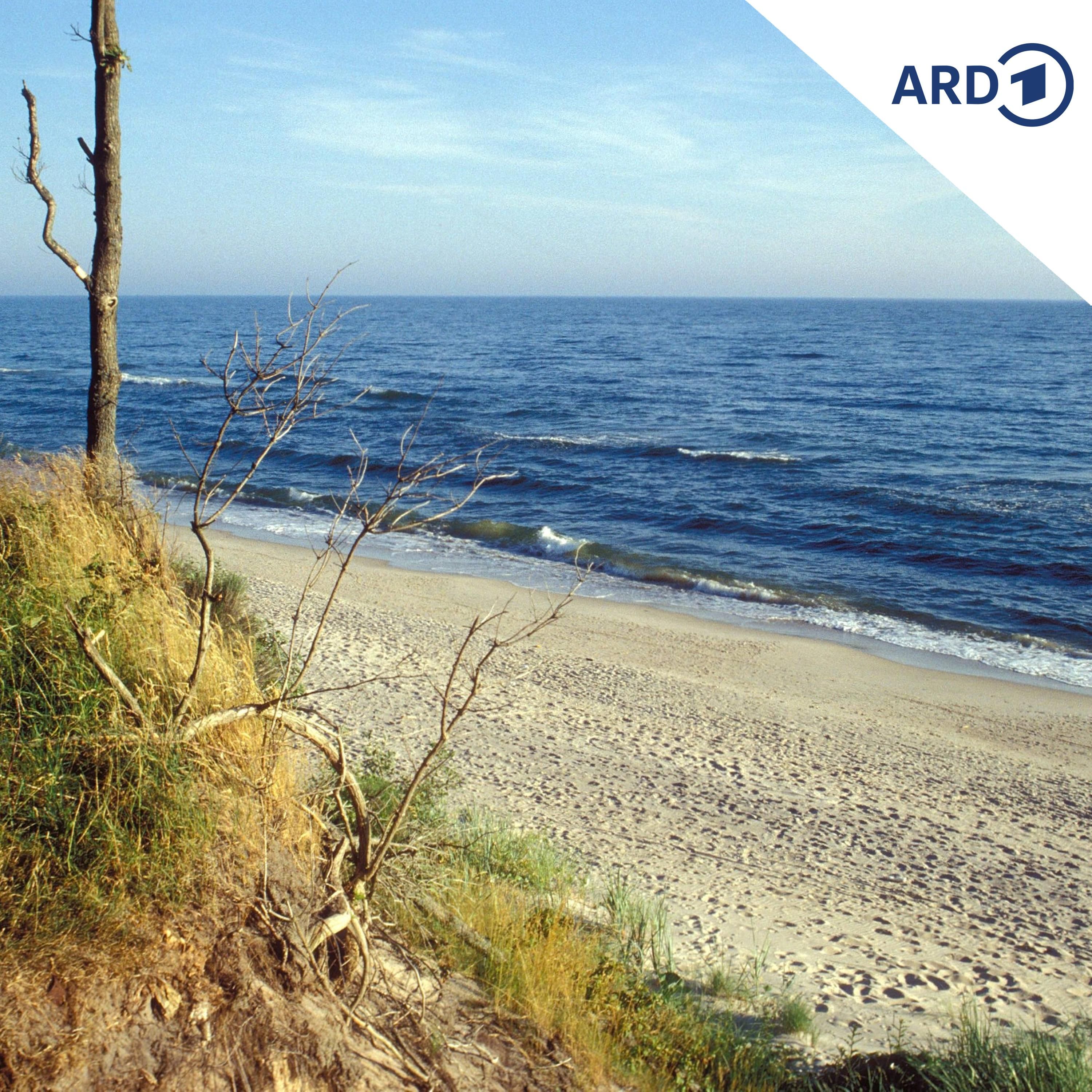 Strandidylle in Gefahr: Usedom befürchtet polnische Bohrtürme vor der Ostseeküste