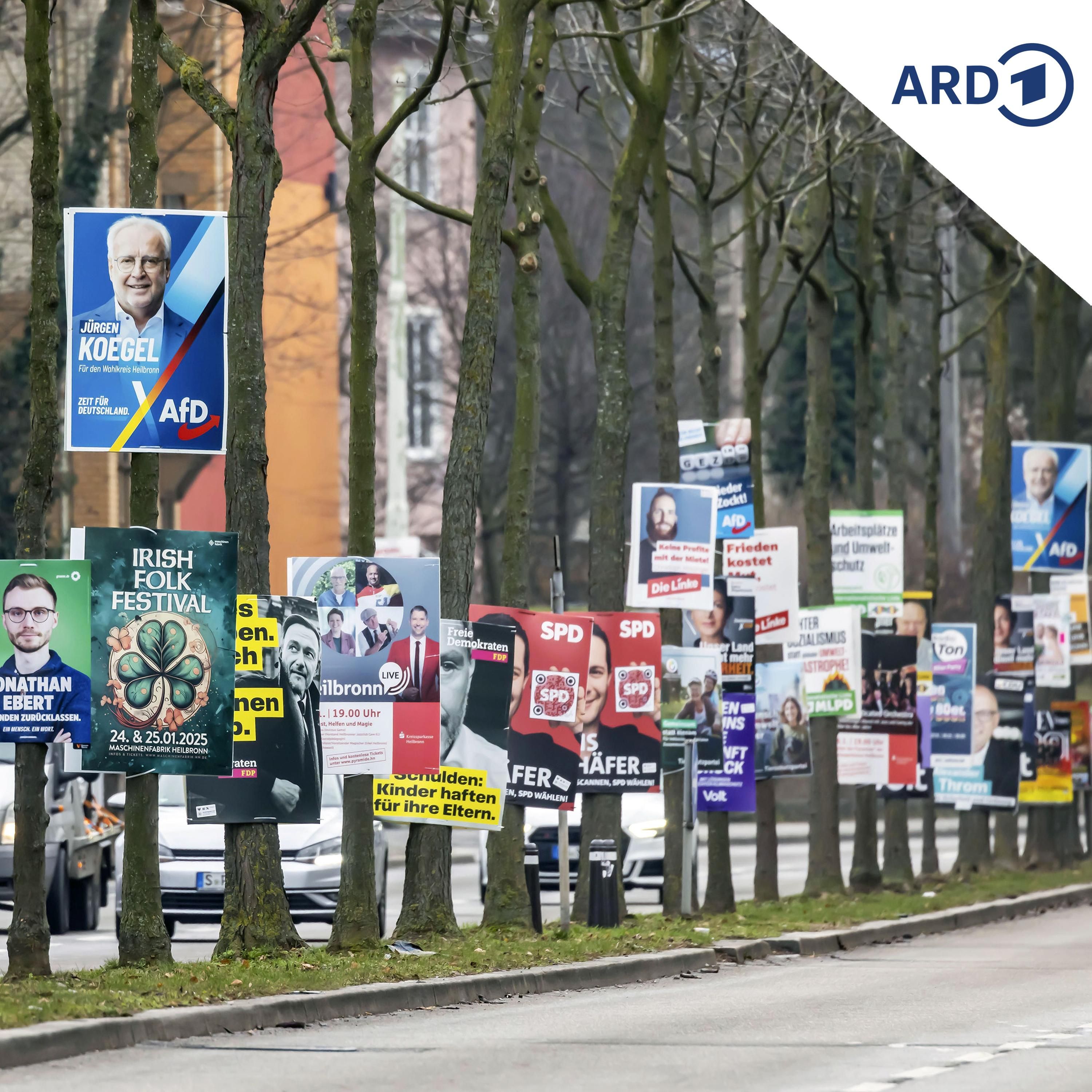 Was erwarten Polen und Tschechen von einer neuen Bundesregierung?
