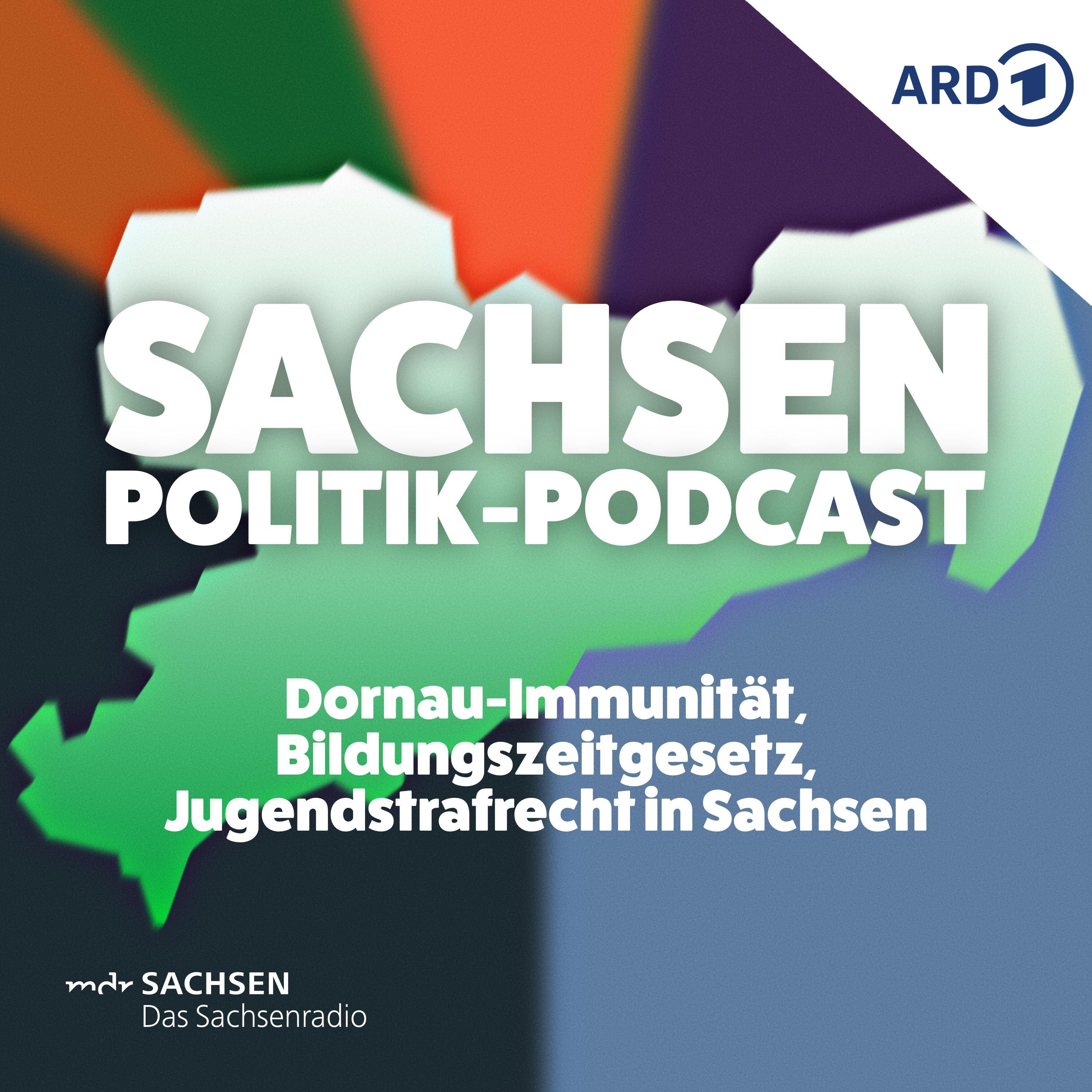 Dornau-Immunität, Bildungszeitgesetz, Jugendstrafrecht in Sachsen