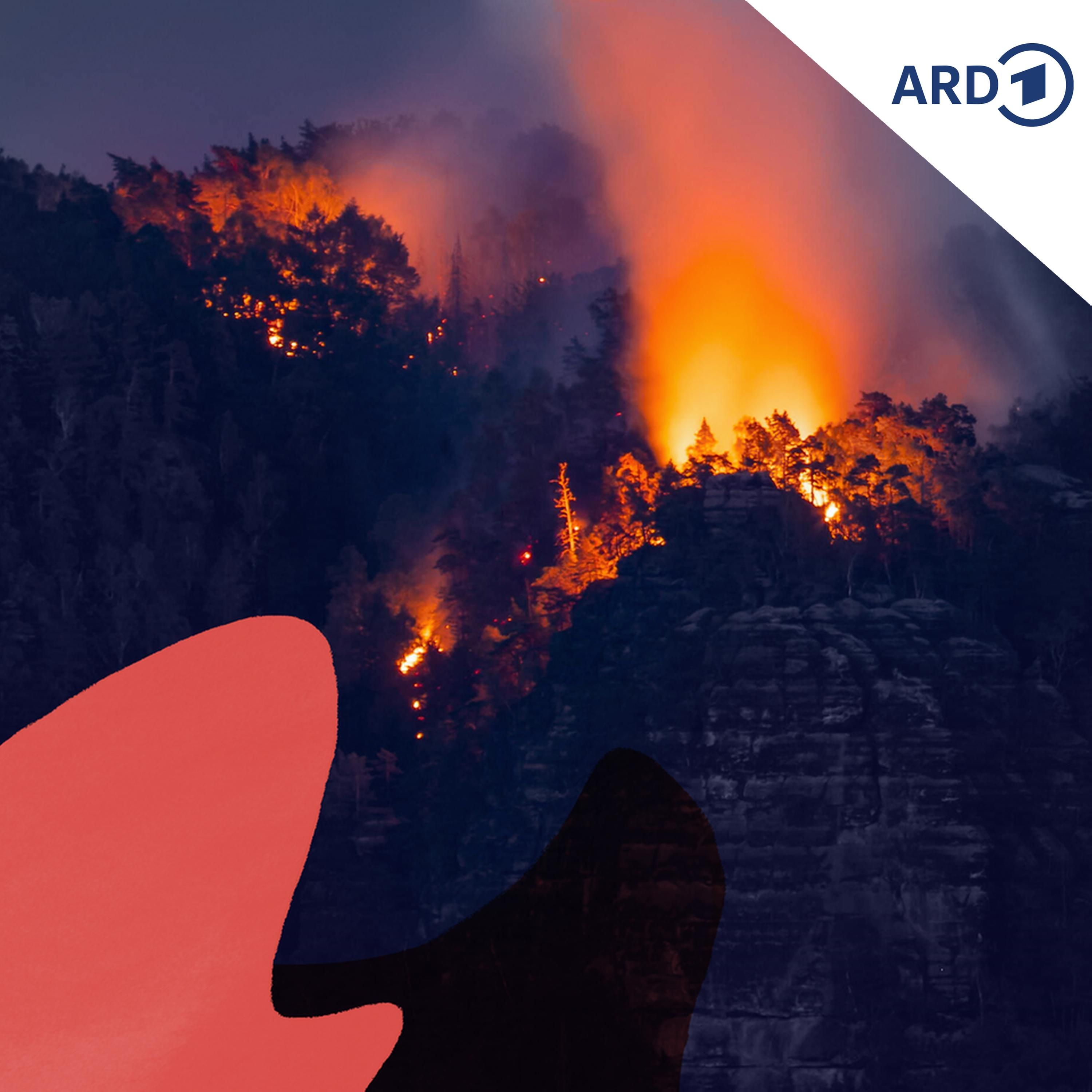 Der Waldbrand - wenn die Natur in Flammen steht