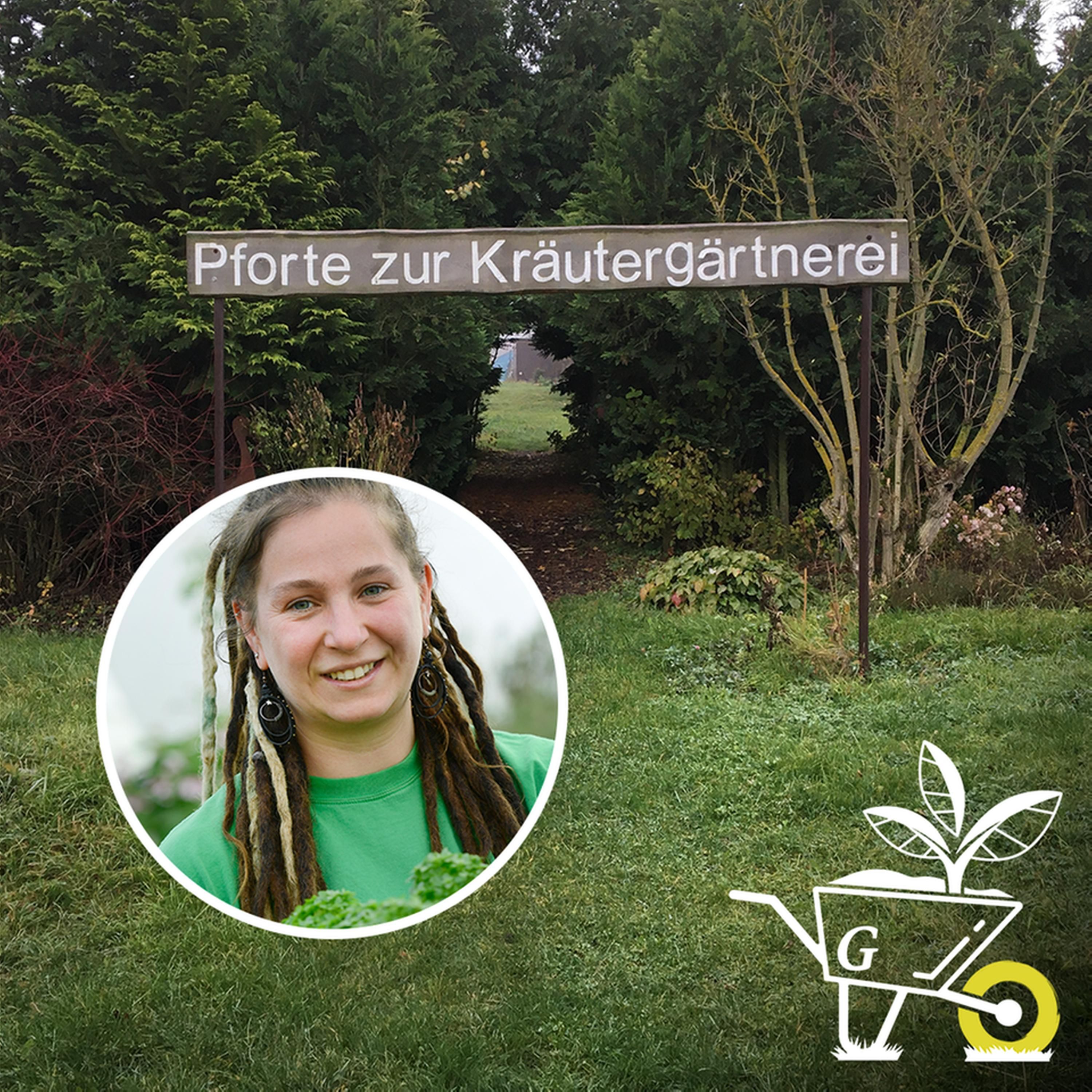 #21: Kräuter pflegen im Winter?