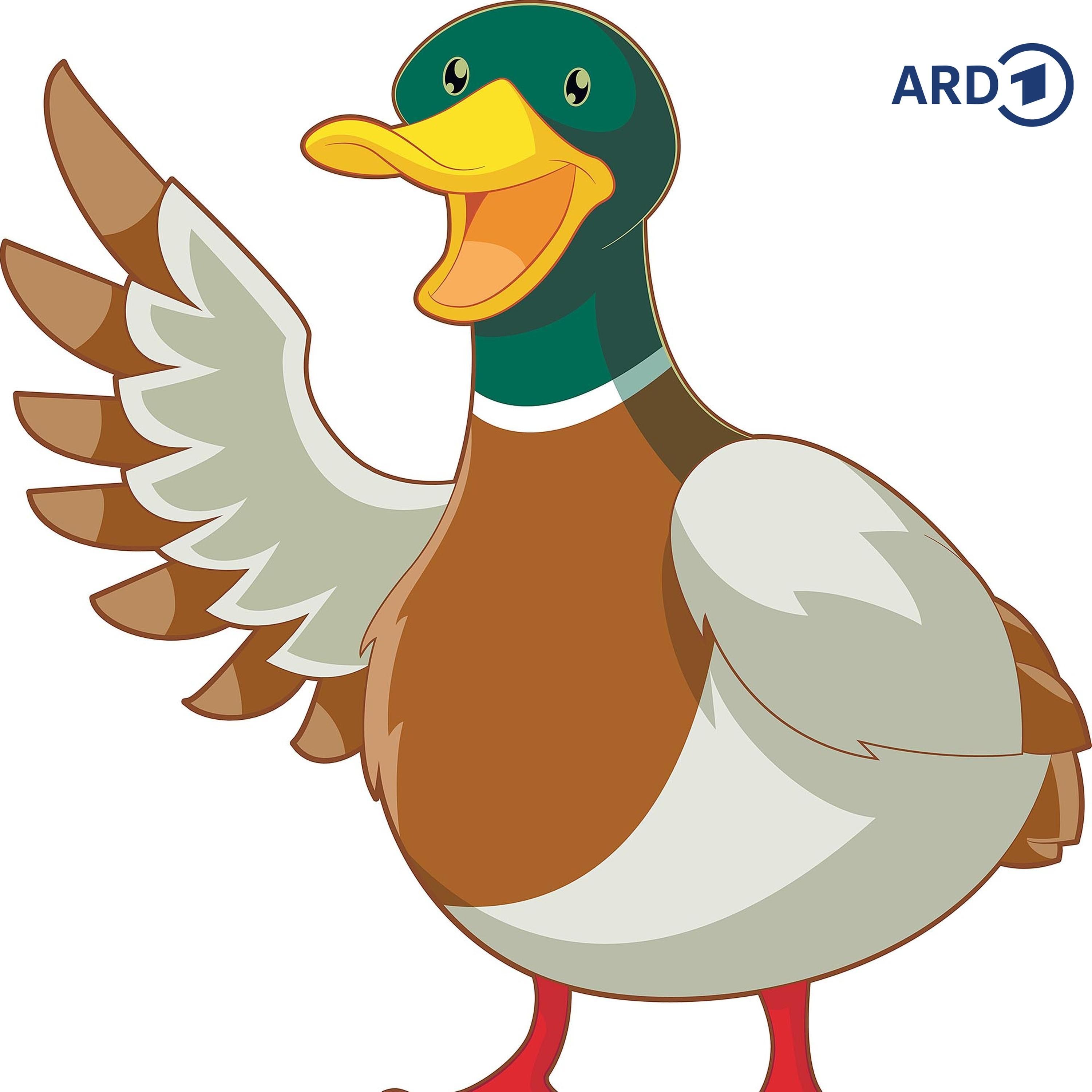 Enten frieren nicht