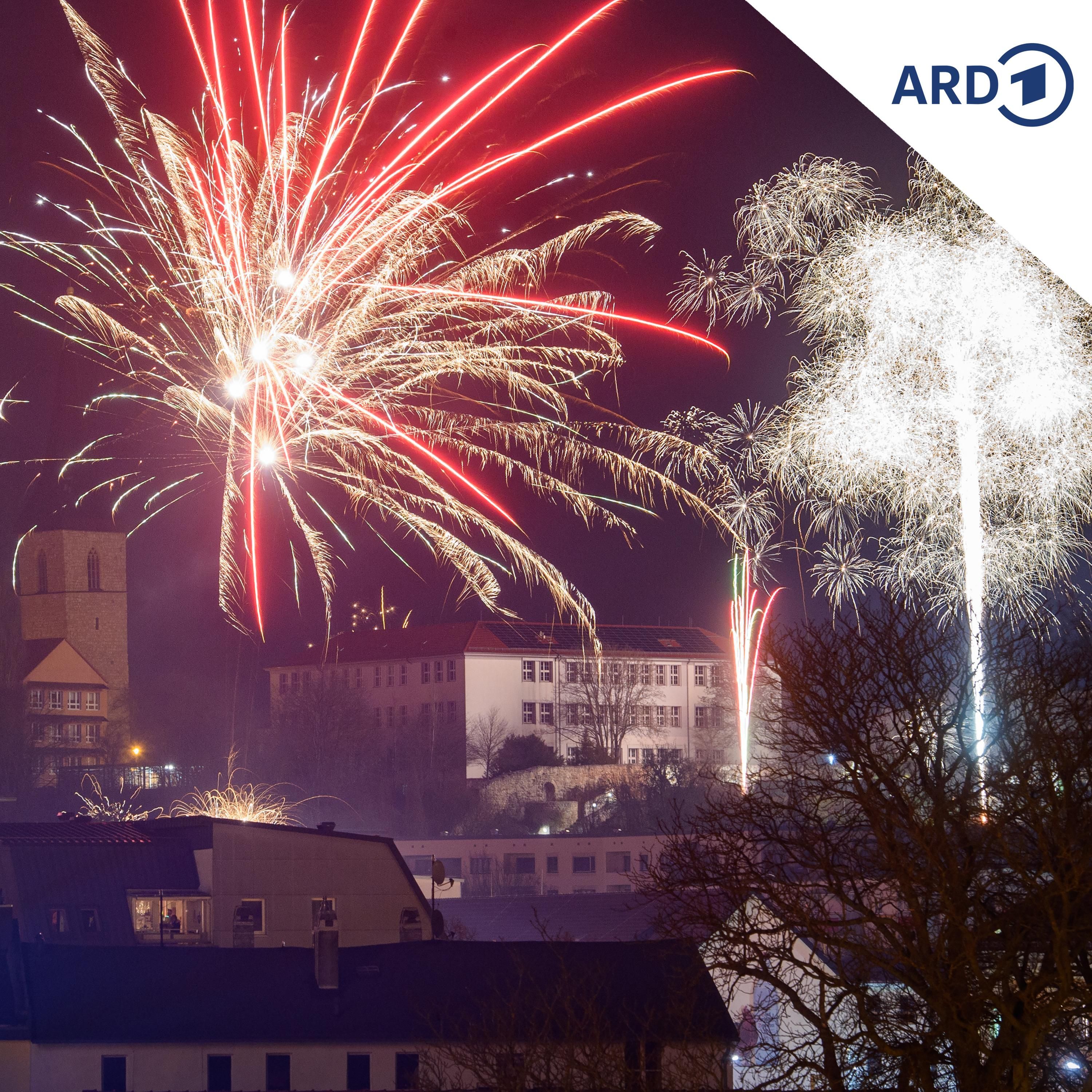 SPUTNIK Mailbox: Neujahr