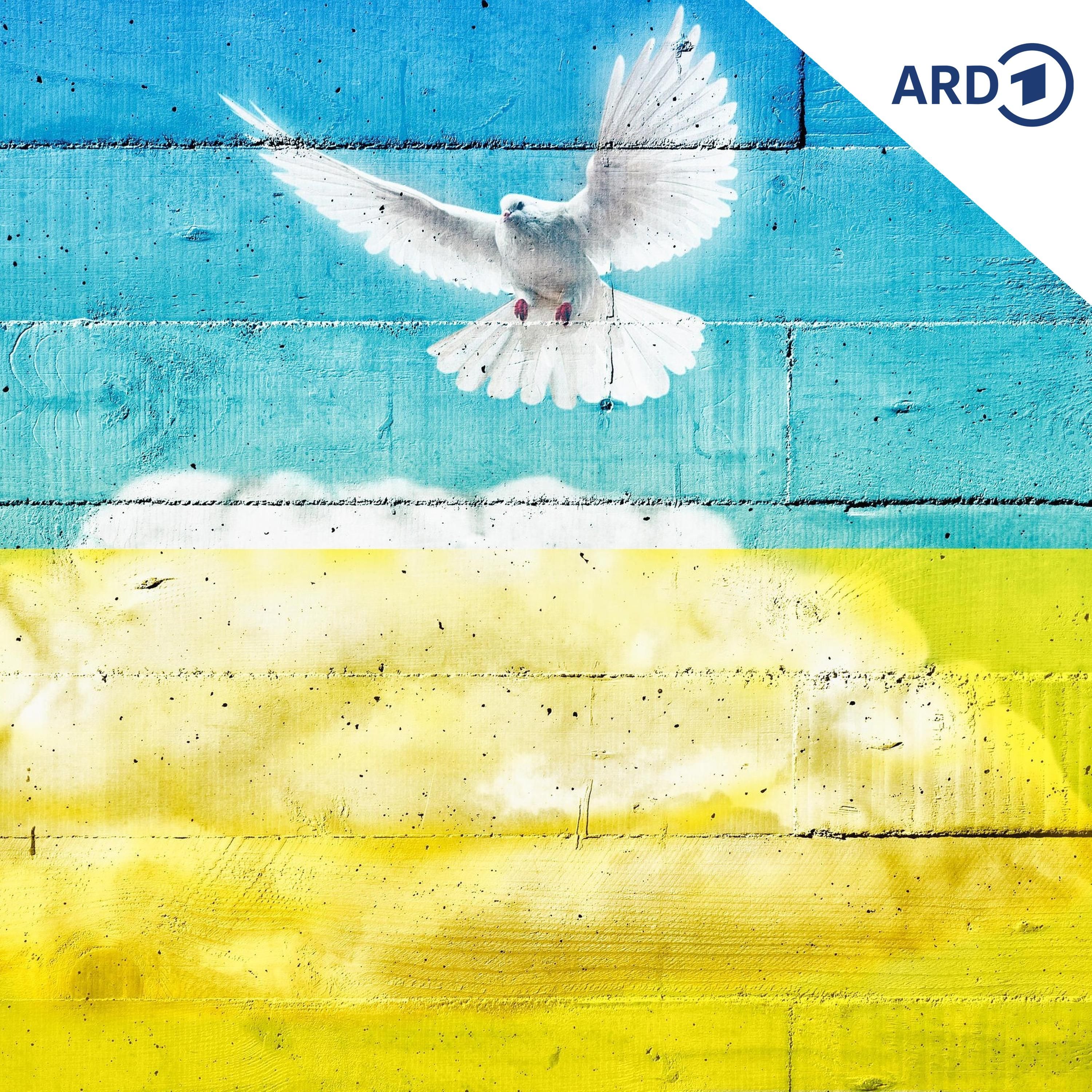 Gaza-Friedensplan als Vorbild für die Ukraine?