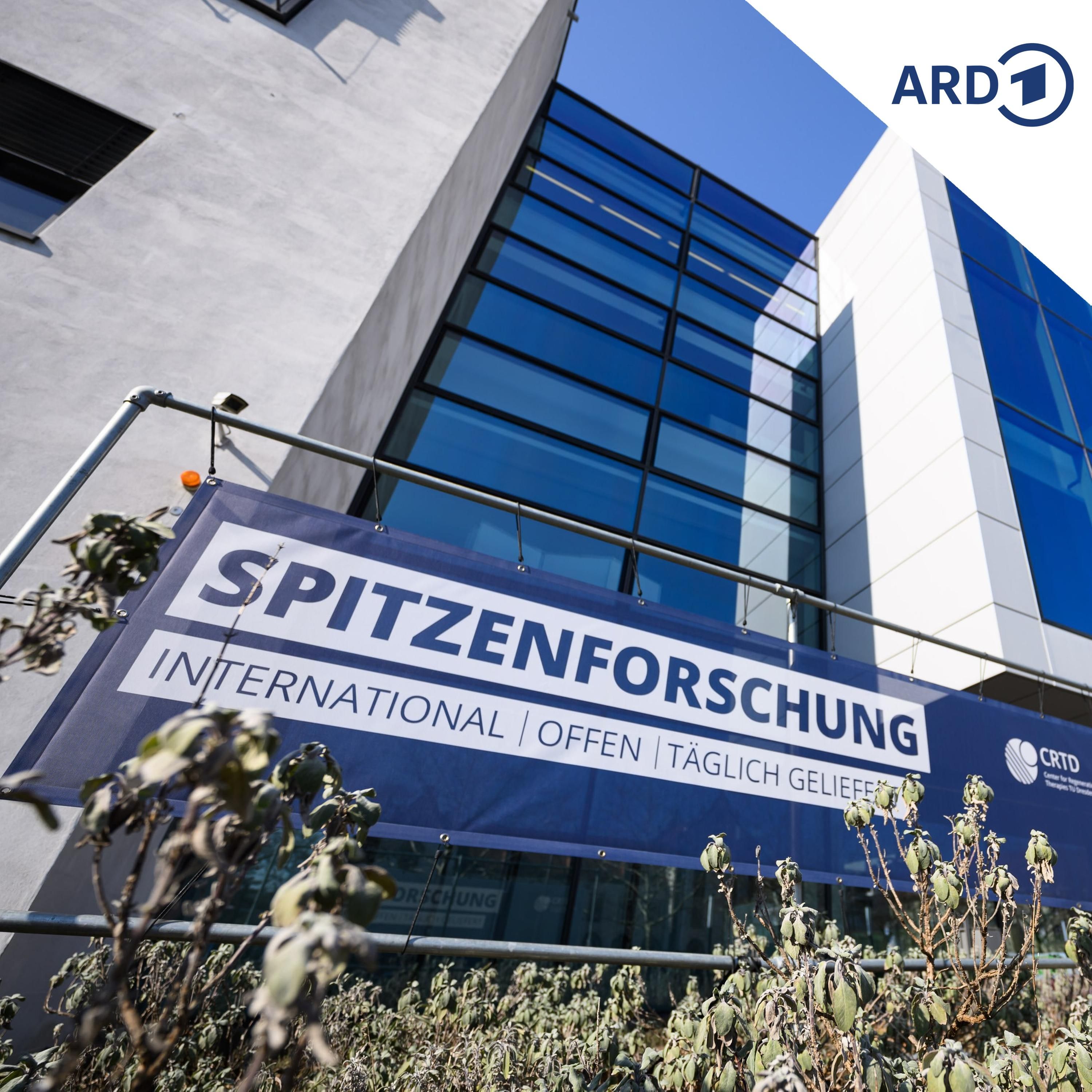 Was bringt der Titel Exzellenzuniversität für die TU Dresden?
