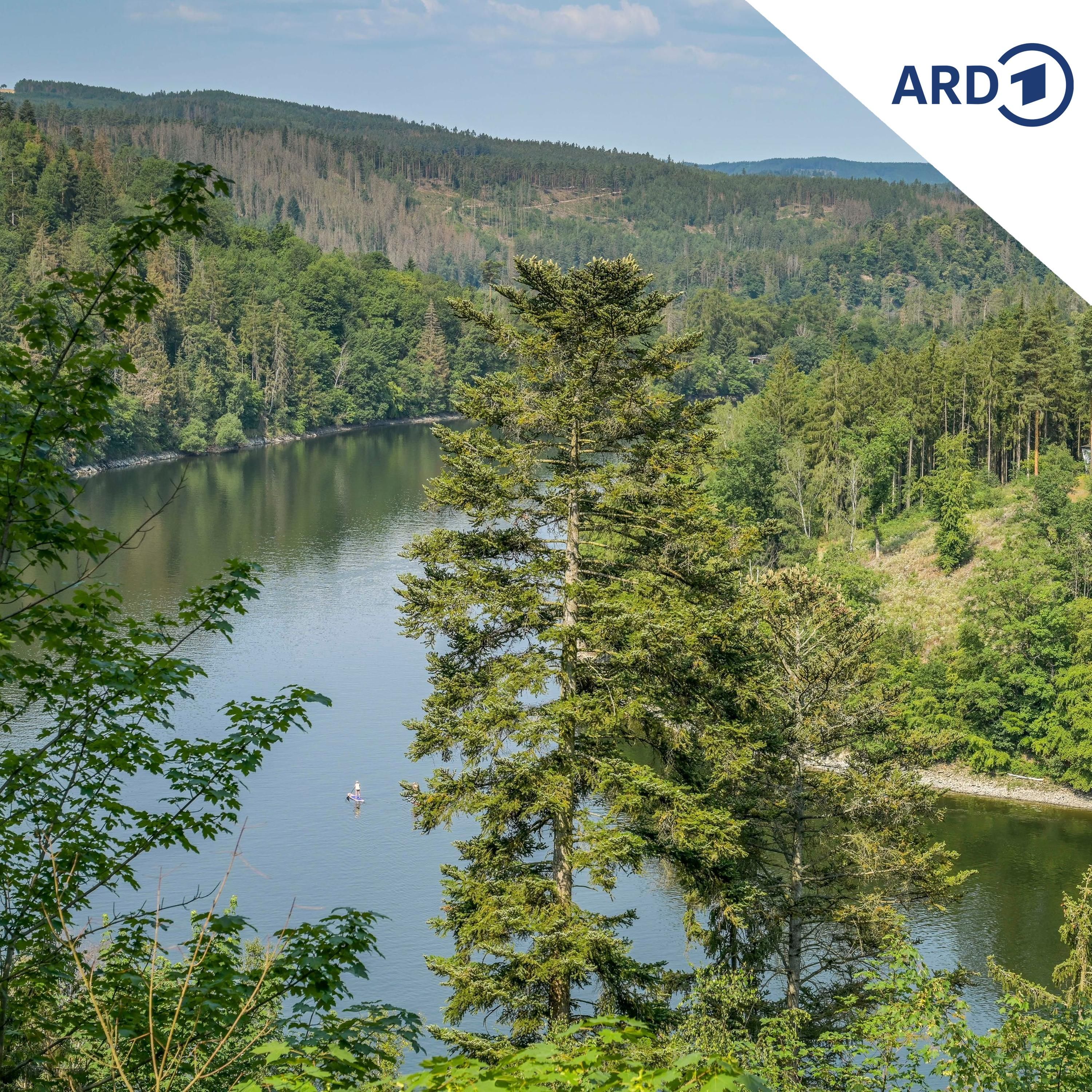 Ist die aktuelle Trockenheit normal?