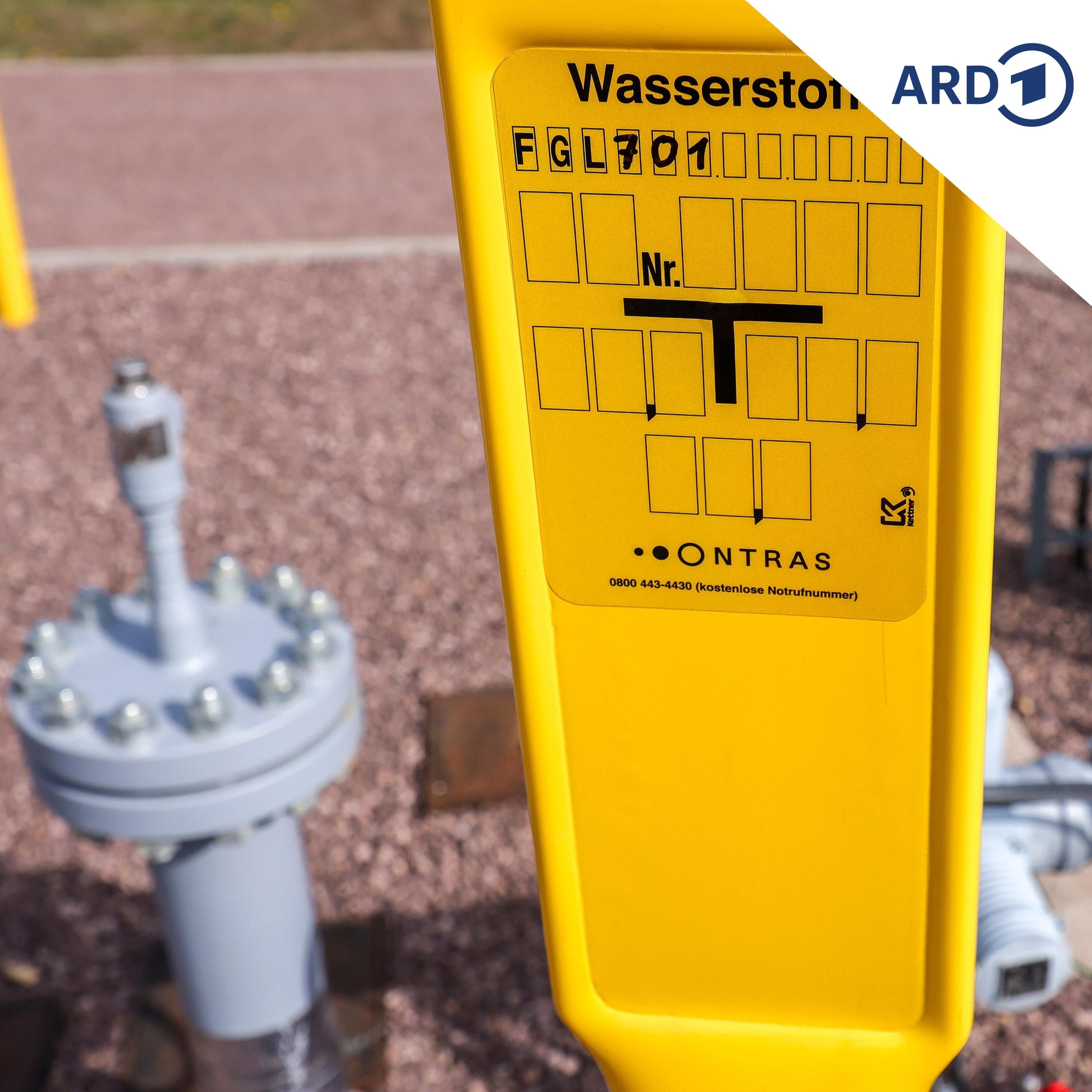 Energiekrise: Das Interesse an grünem Wasserstoff steigt wieder