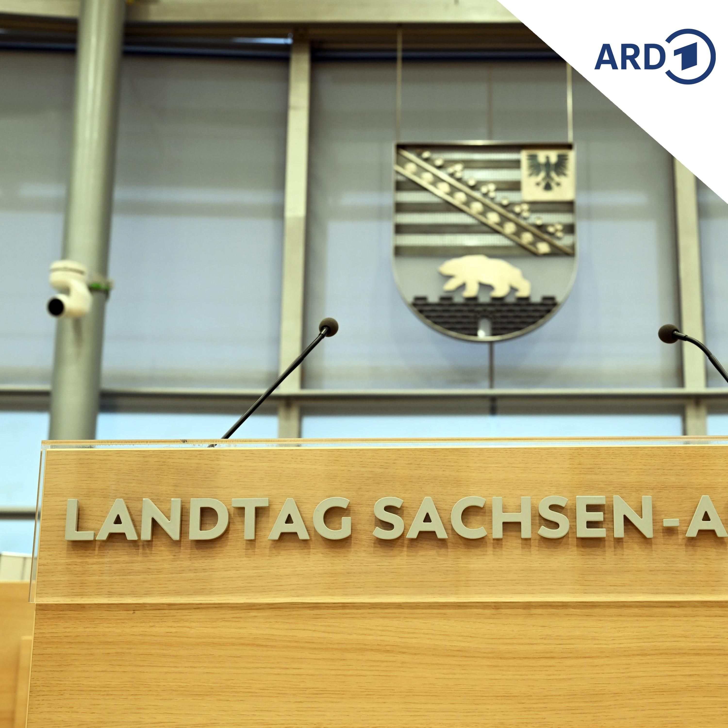Aufgeheizte Stimmung im Magdeburger Landtag