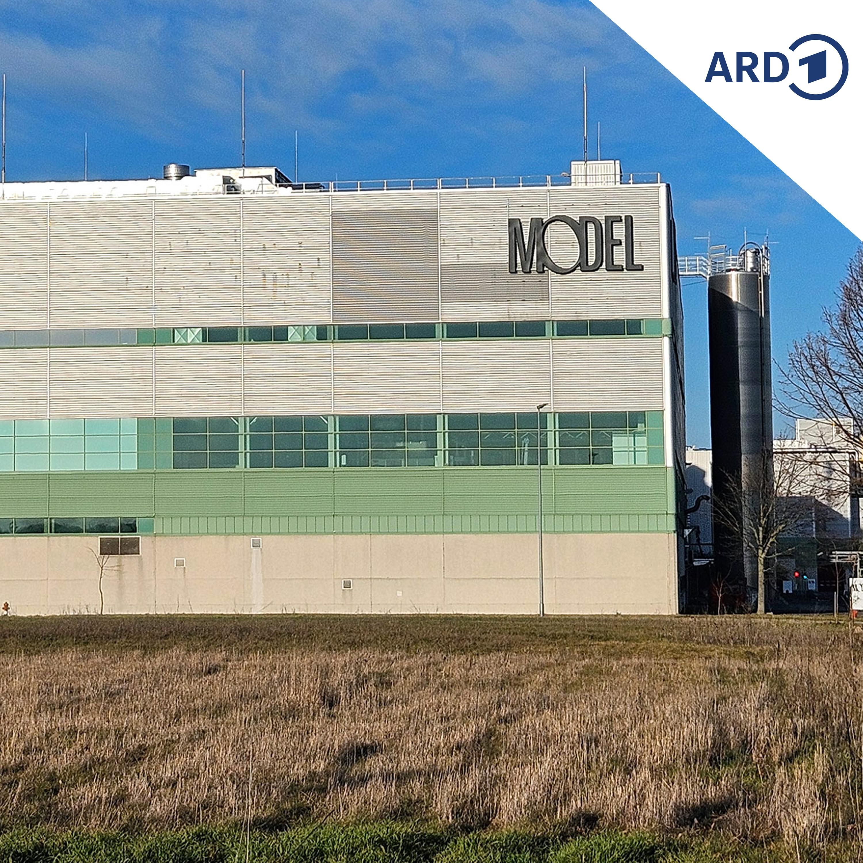 Papierindustrie kämpft mit schwacher Konjunktur