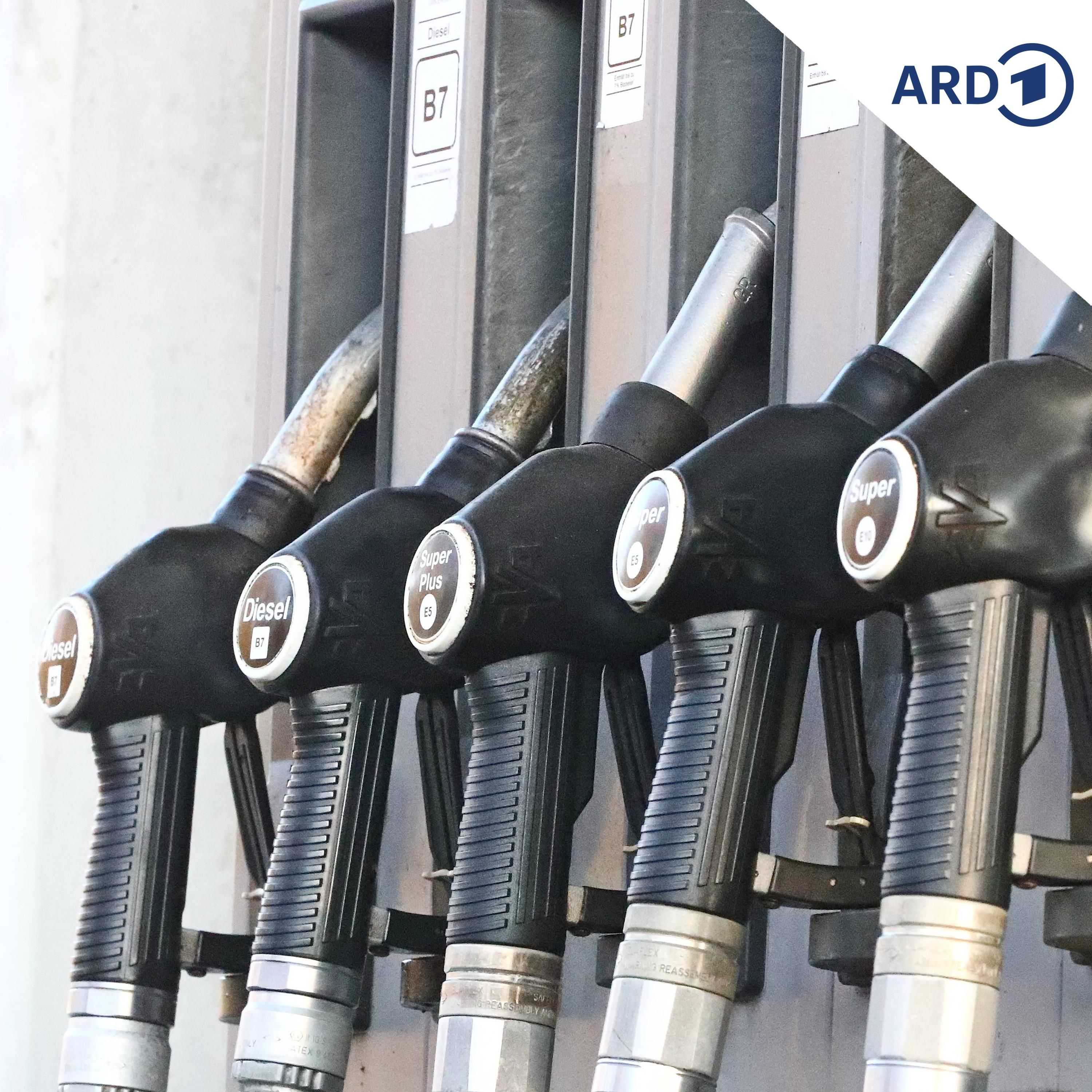 Ölkrise: Experten loben Vorschlag zu weniger Autofahrten