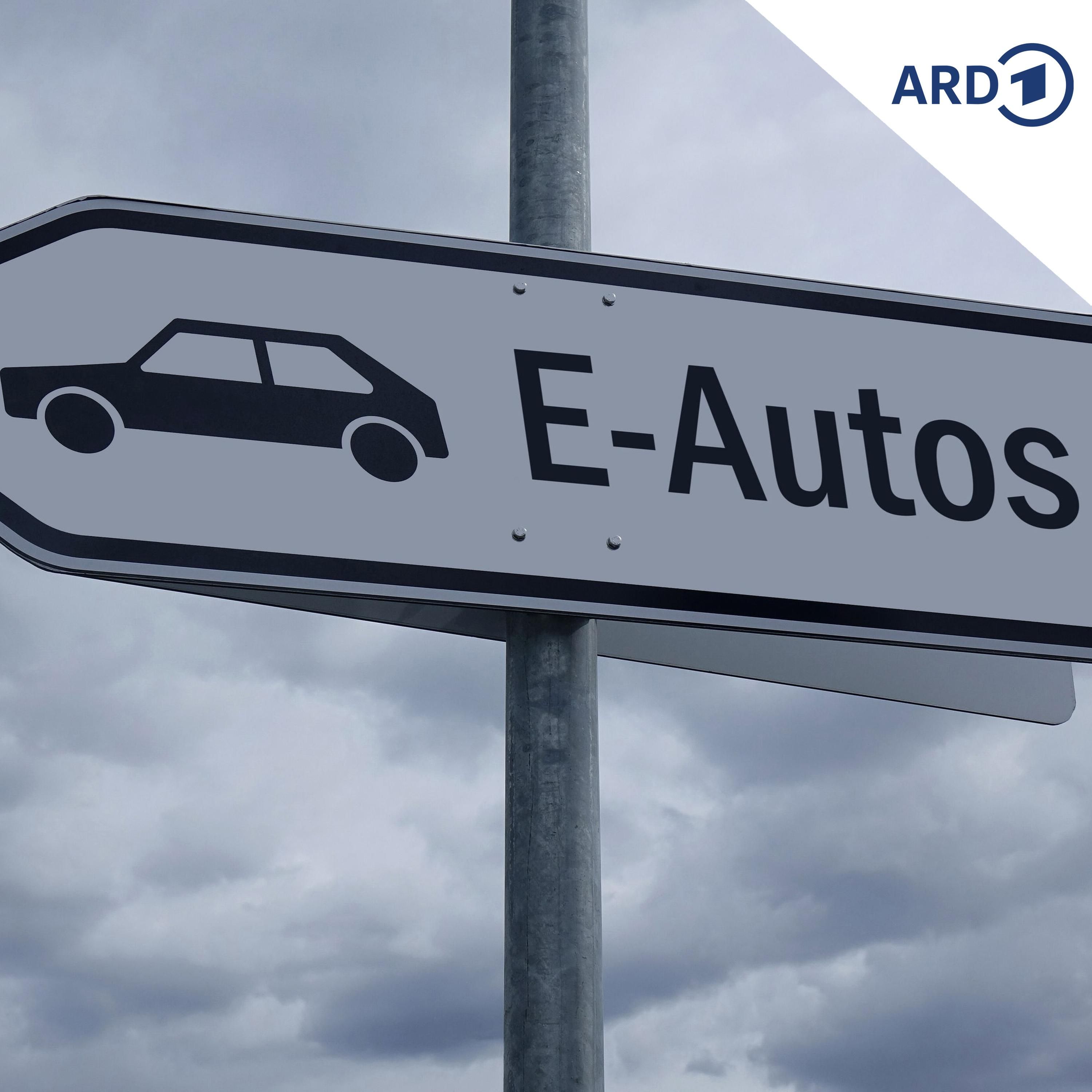 Wie wirkt die neue E-Auto-Förderung?