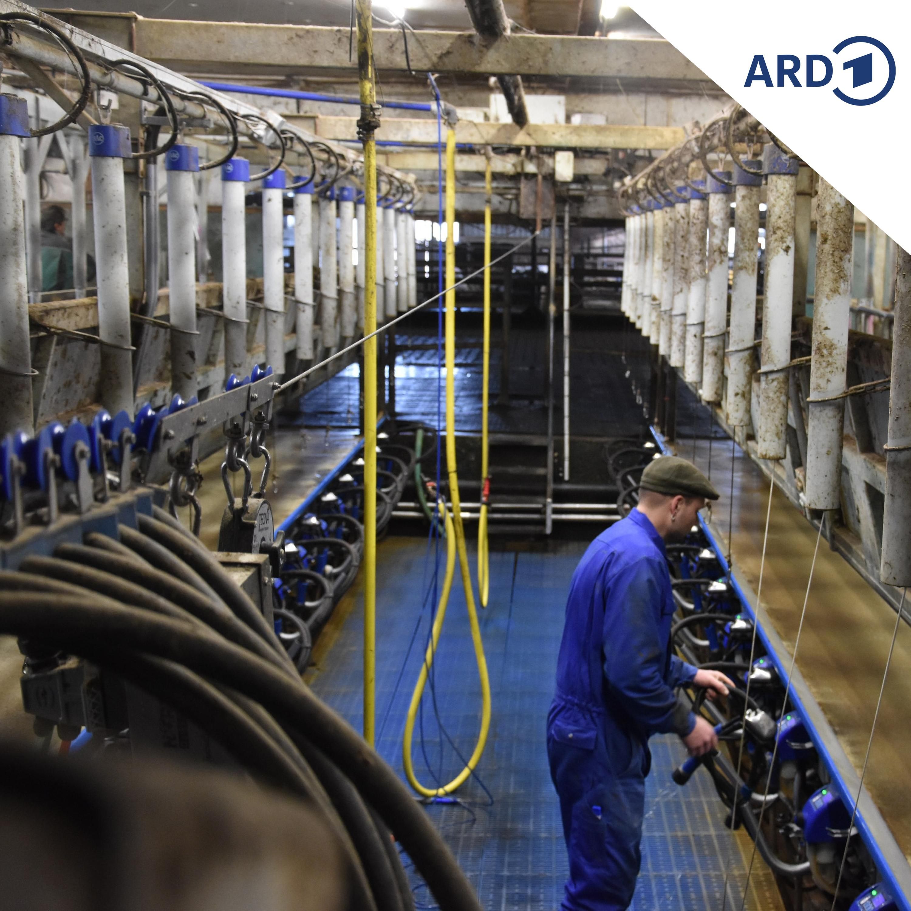 Warum die Landwirt-Ausbildung neu gedacht wird
