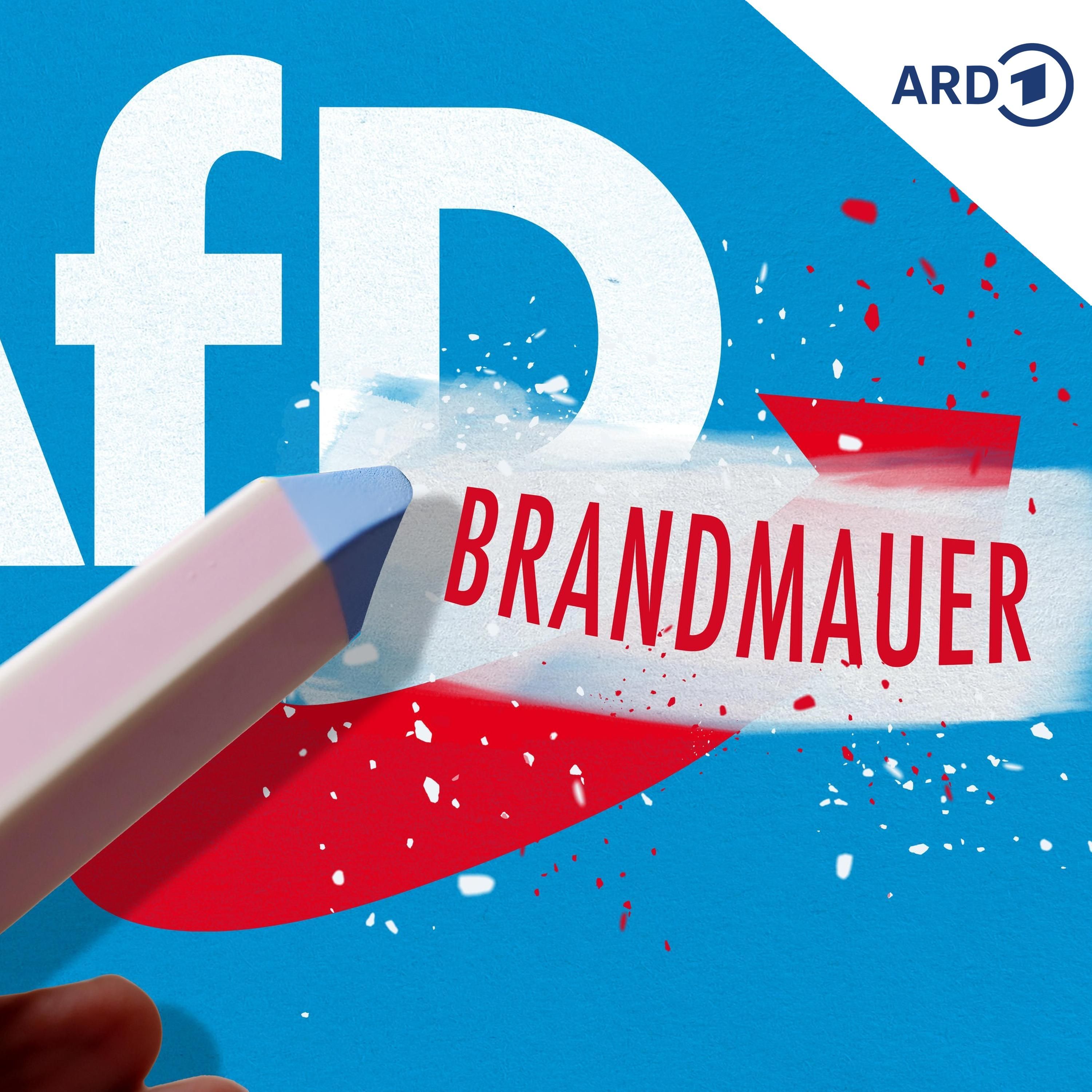 Das BSW und sein Verhältnis zur AfD
