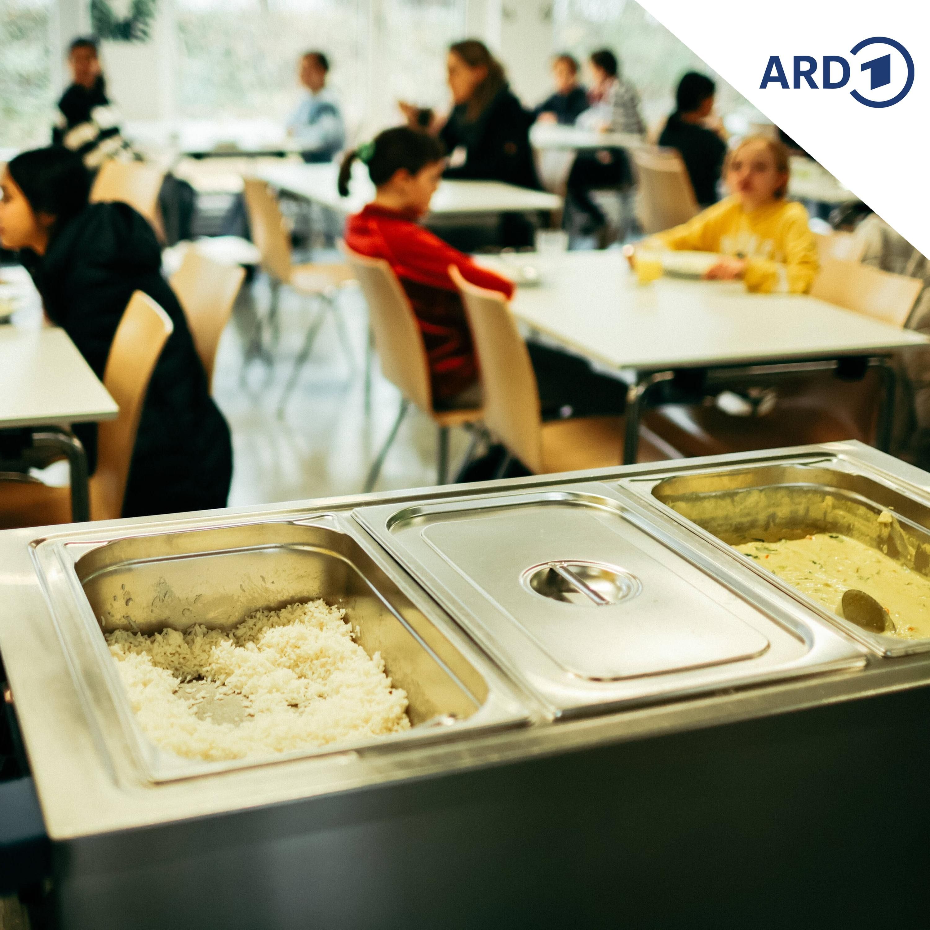 Essen in Schulen und Kitas - Warum so teuer?